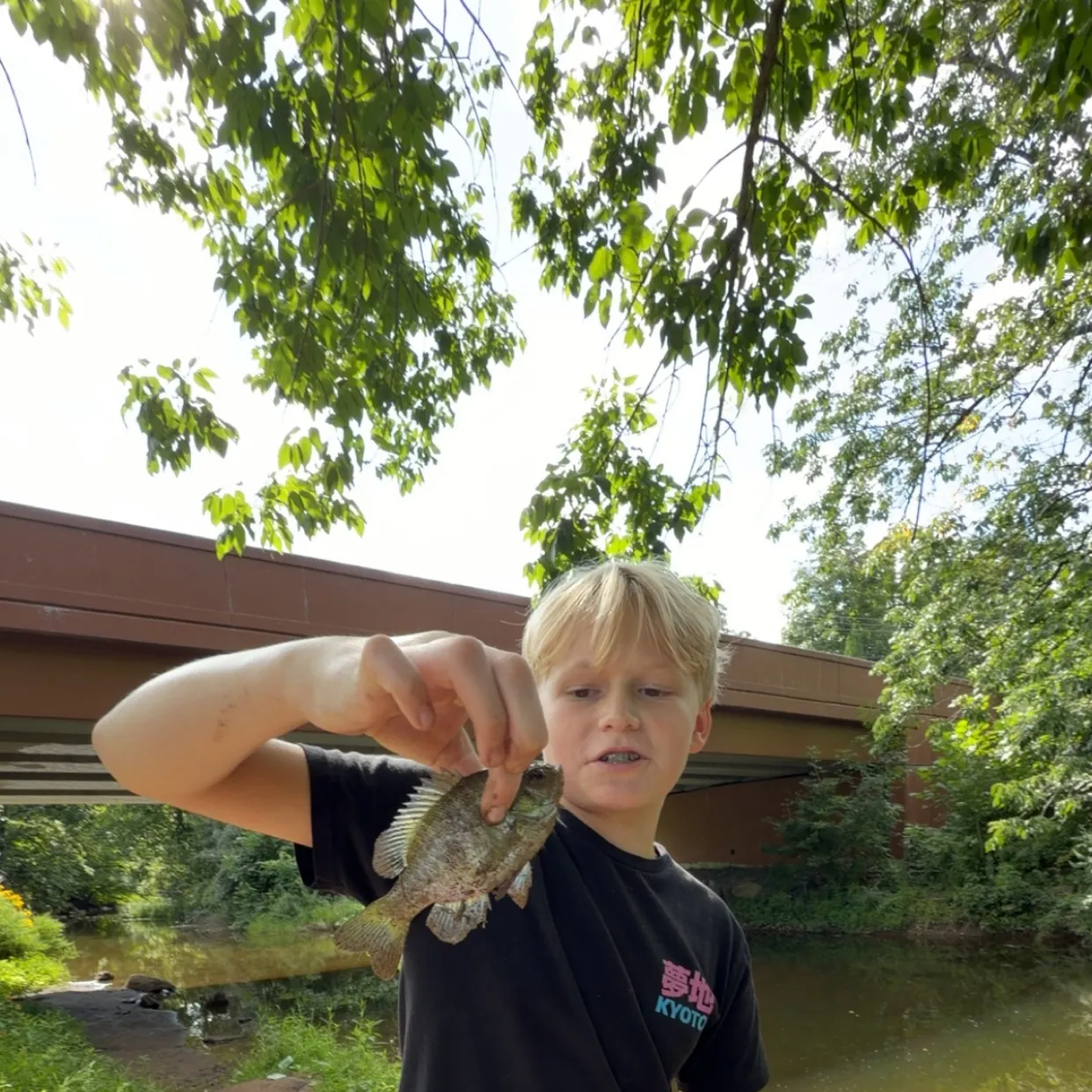 Fish caught on Fishbrain