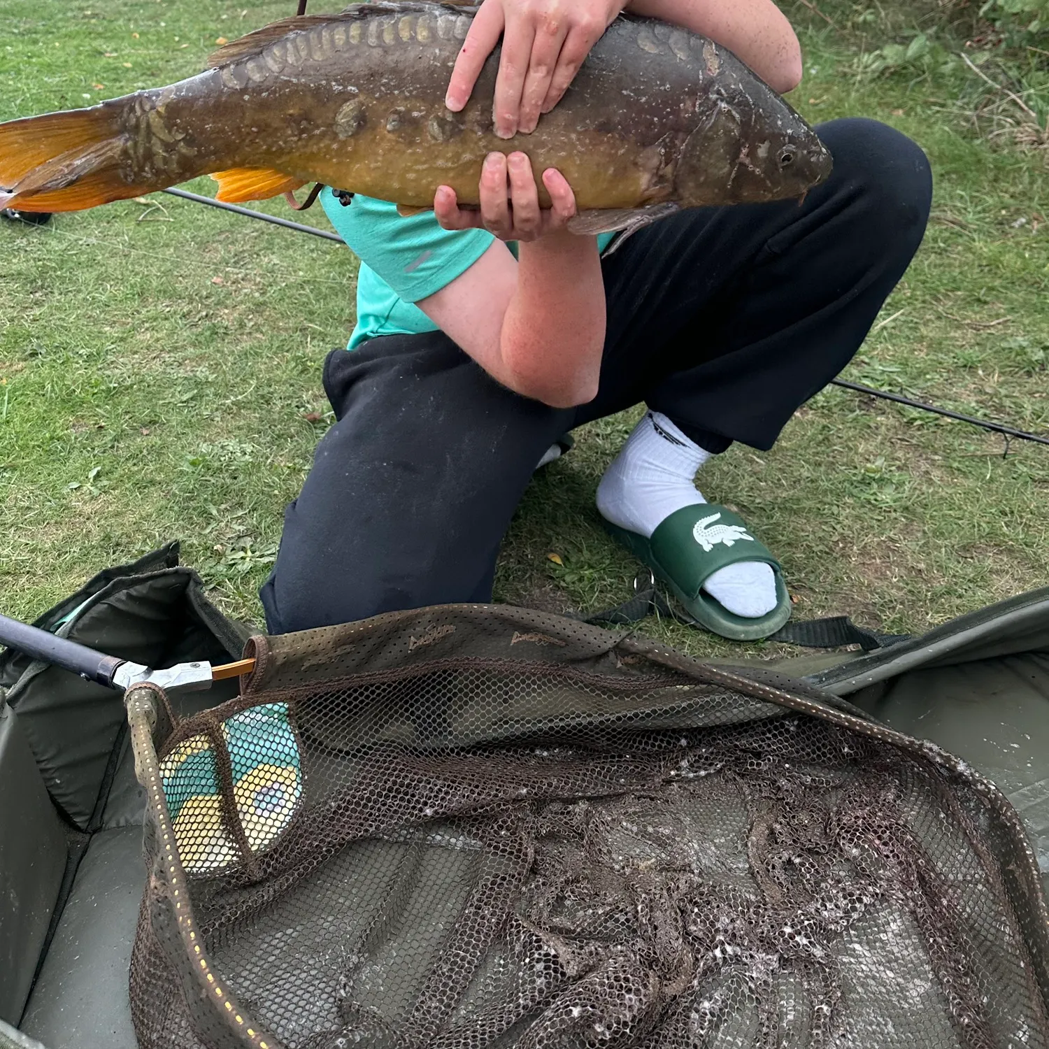 Mirror carp caught on Fishbrain