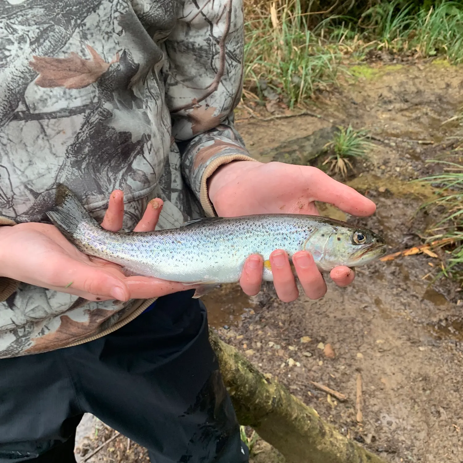 The most recent Coastal cutthroat trout catches on Fishbrain