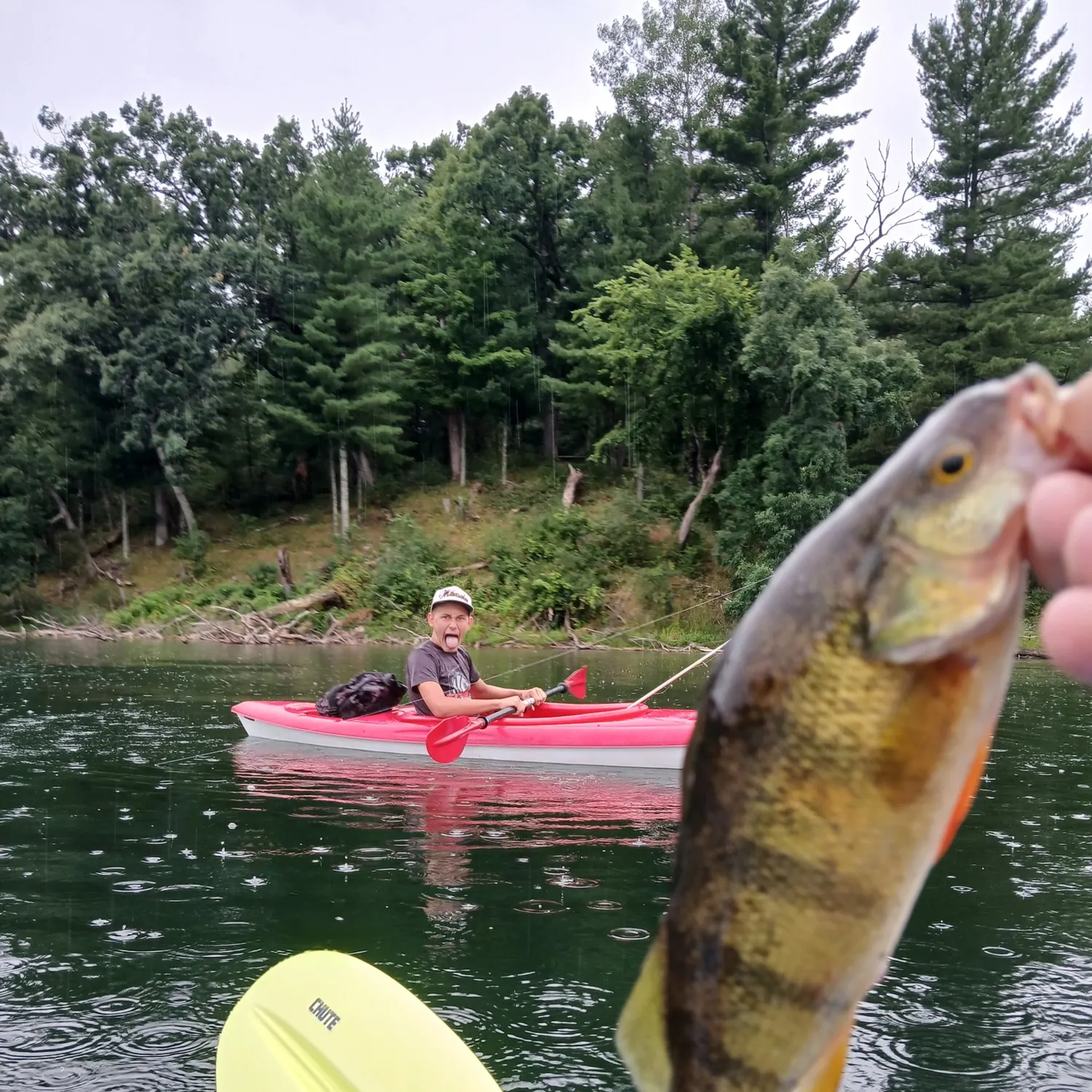 catch