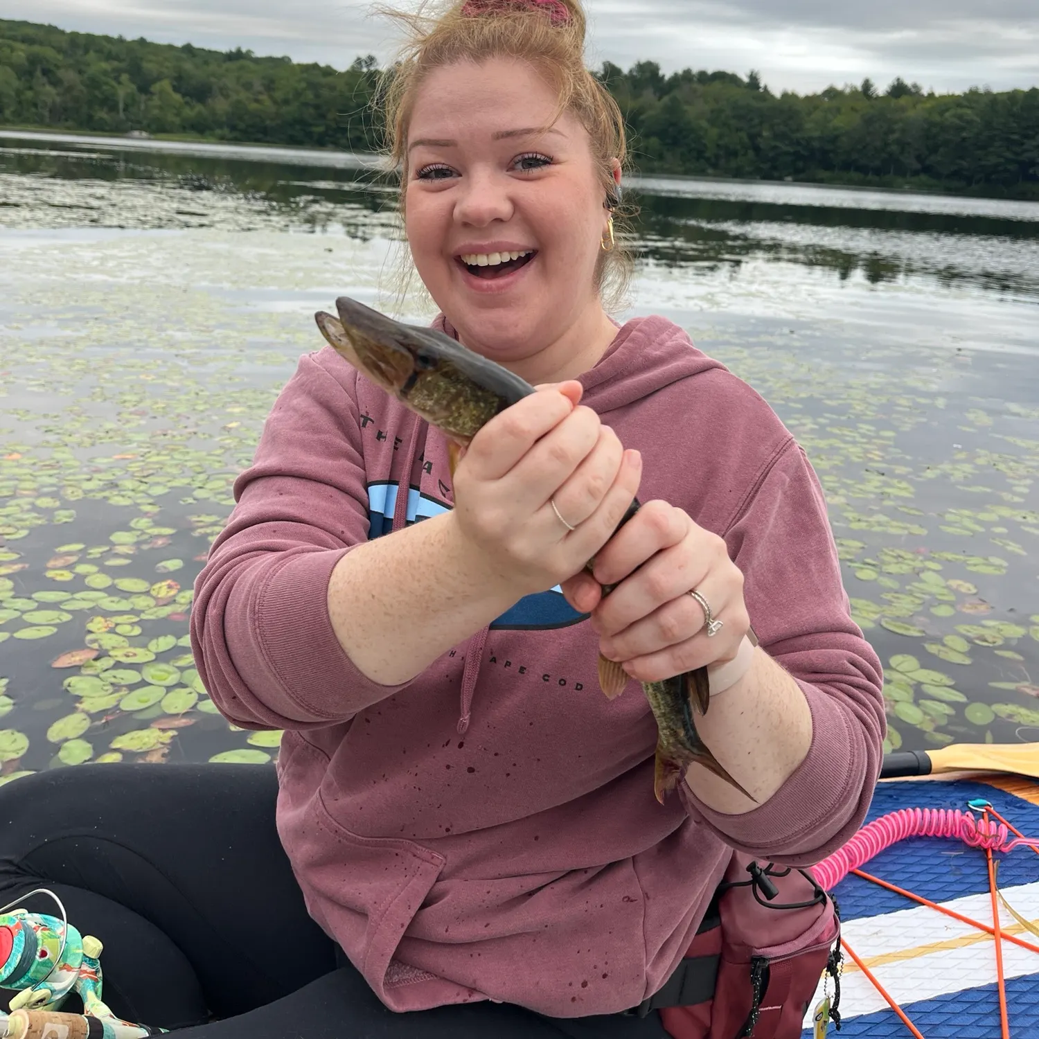 Chain pickerel caught on Fishbrain