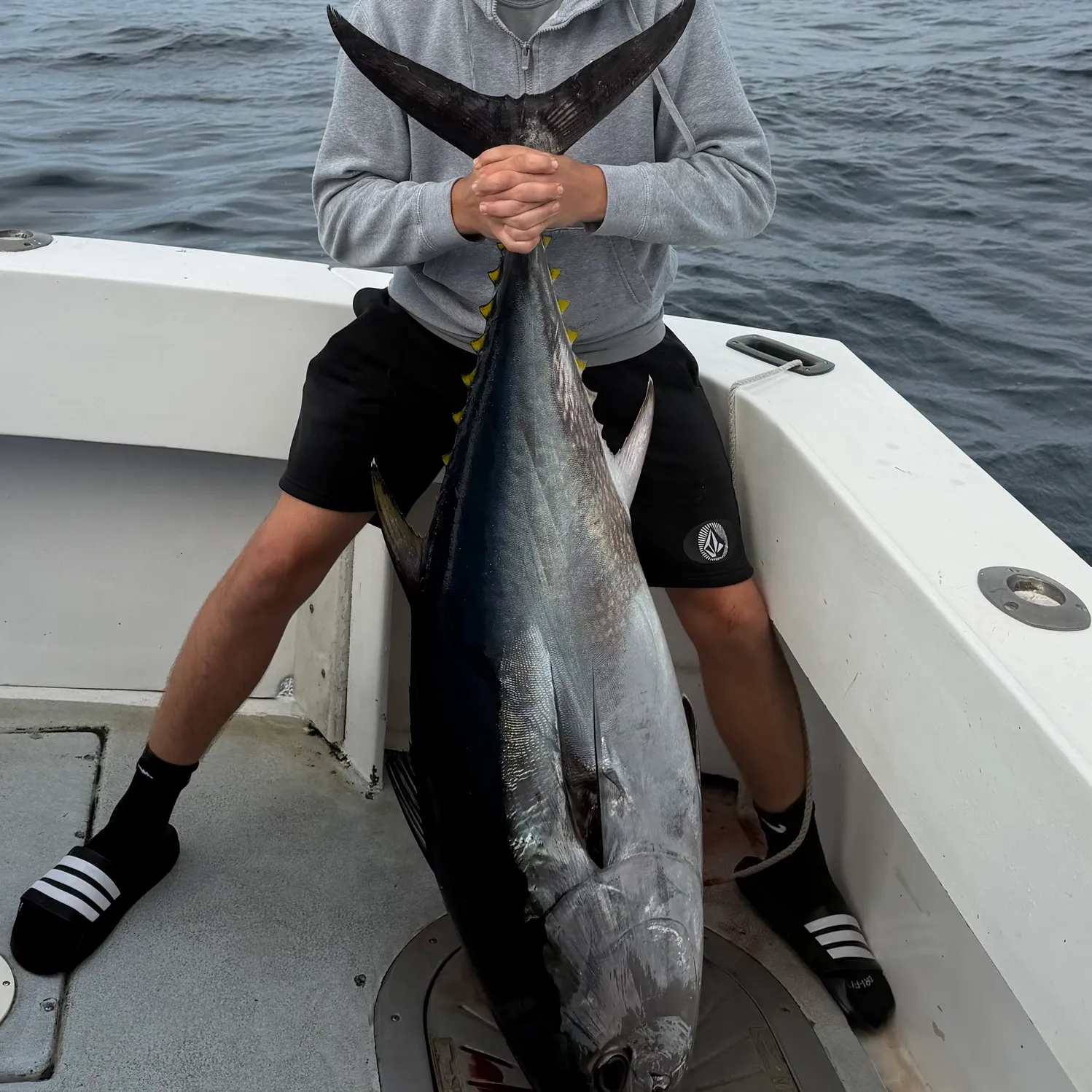 The most recent Atlantic bluefin tuna catches on Fishbrain
