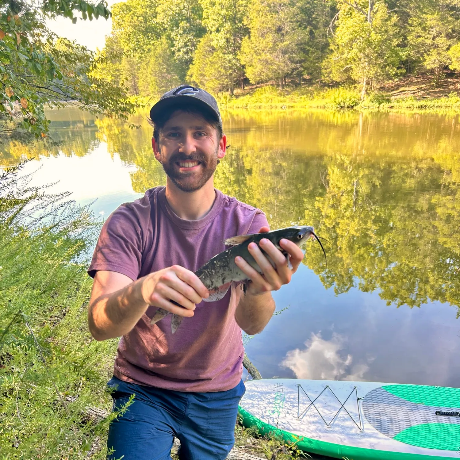 Blue catfish caught on Fishbrain