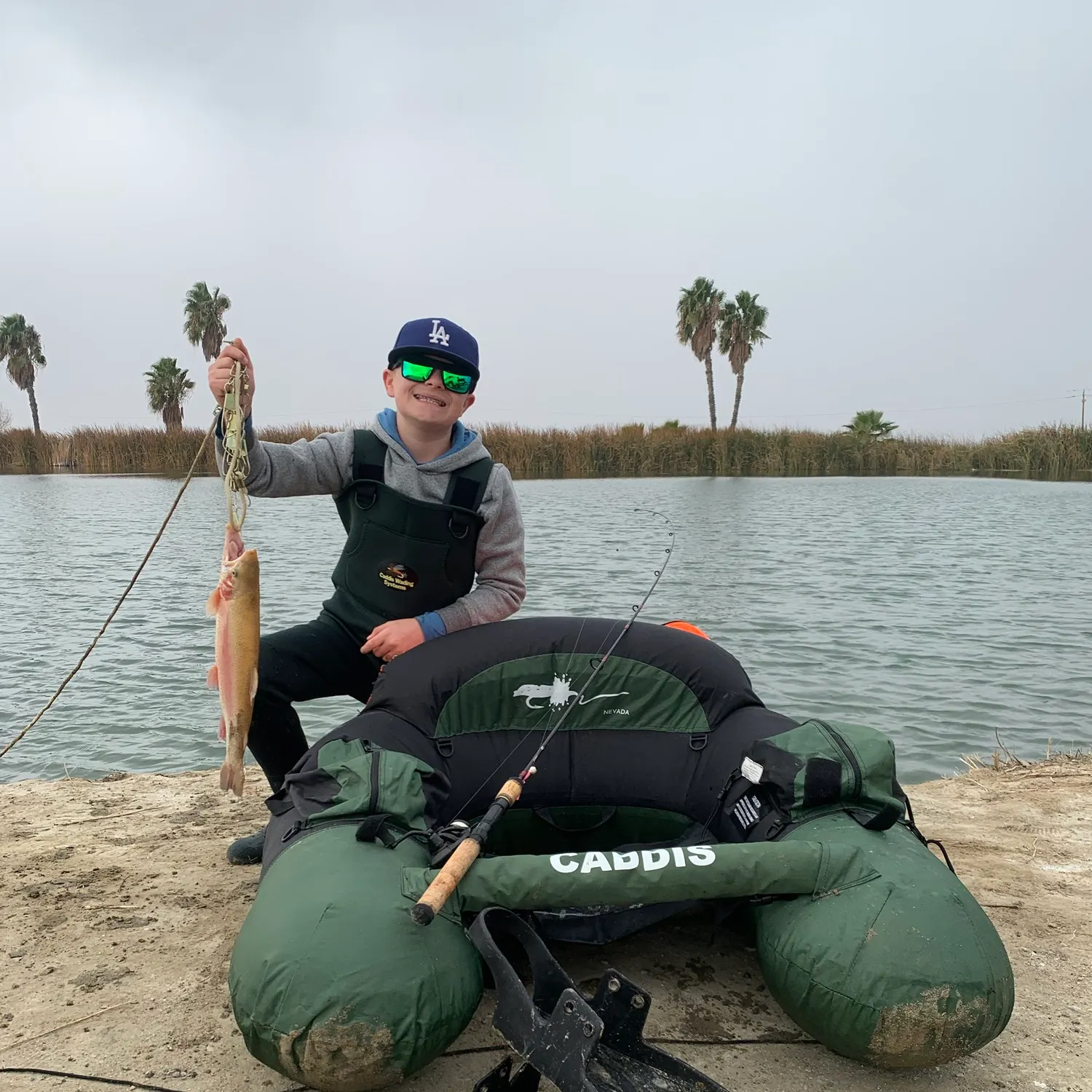 The most recent Golden rainbow trout catches on Fishbrain