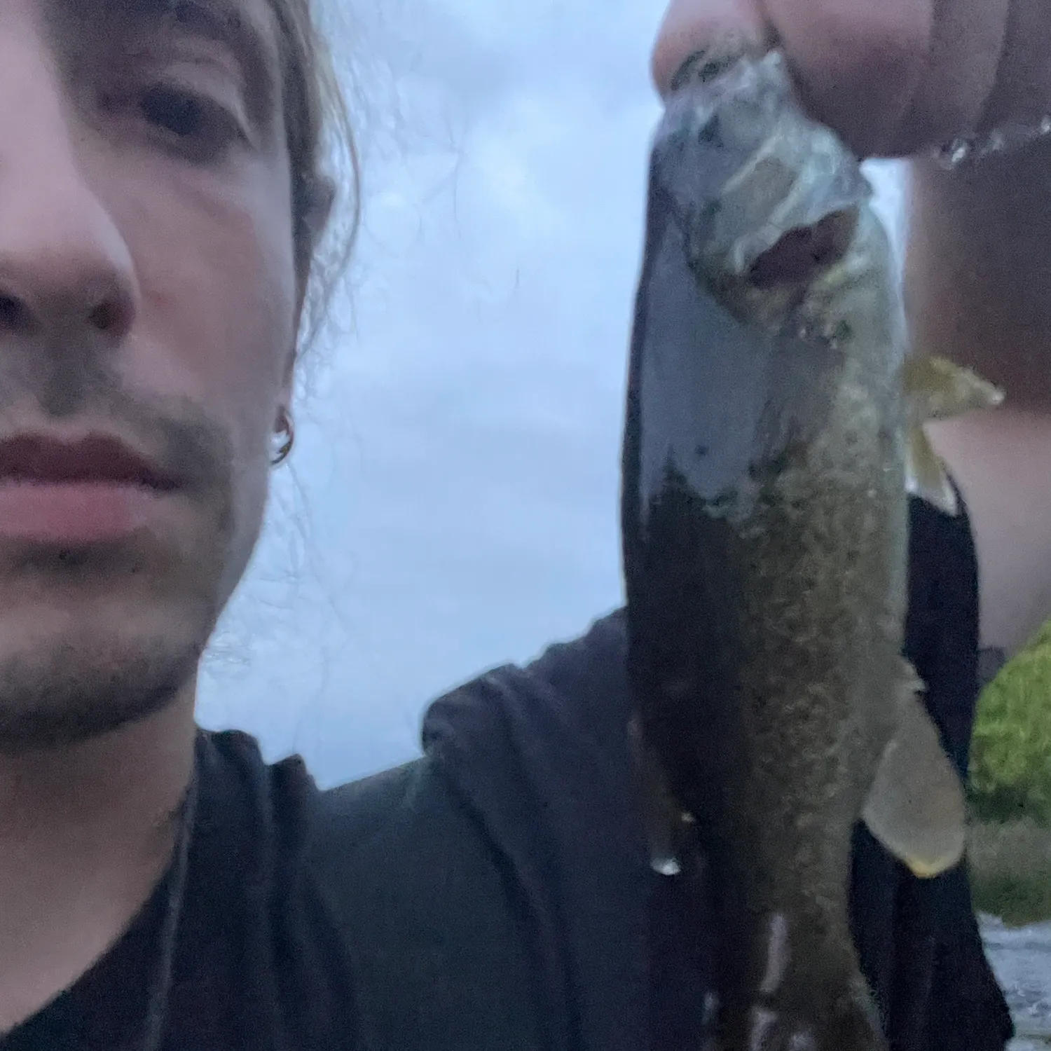 Smallmouth bass caught on Fishbrain