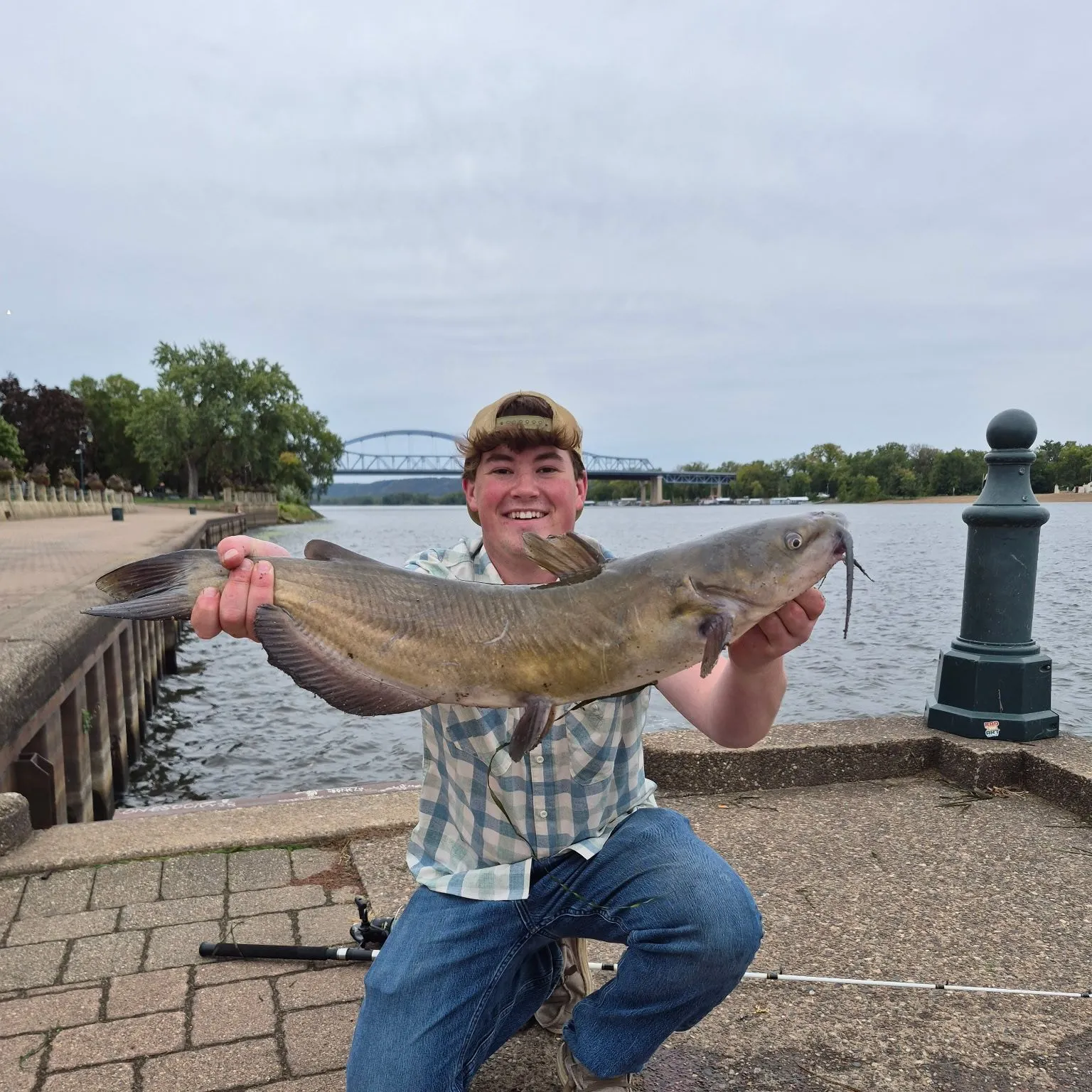 Channel catfish caught on Fishbrain