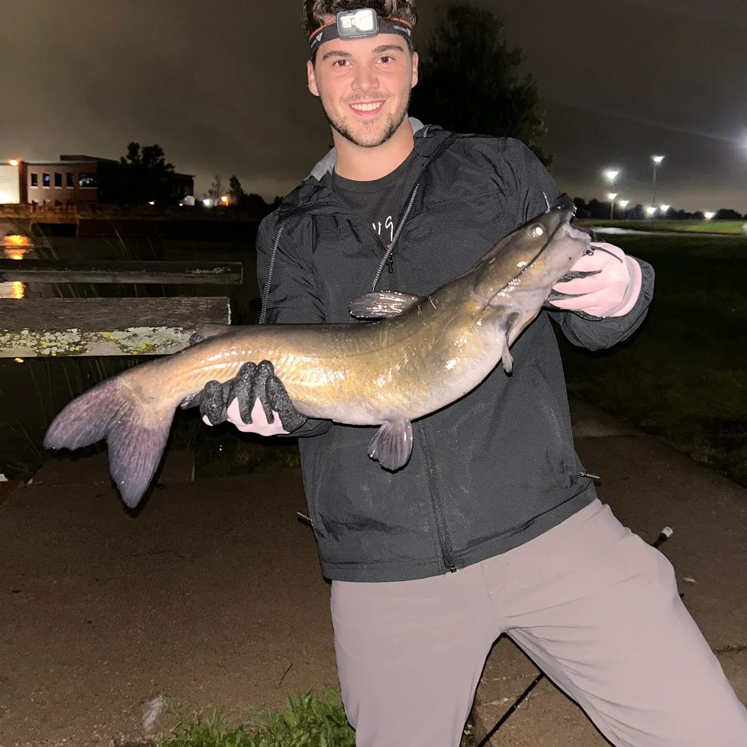Channel catfish caught on Fishbrain