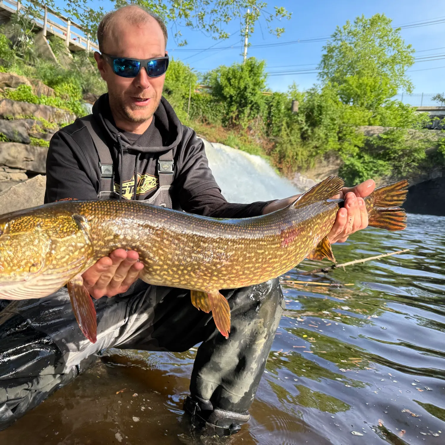 Northern pike caught on Fishbrain