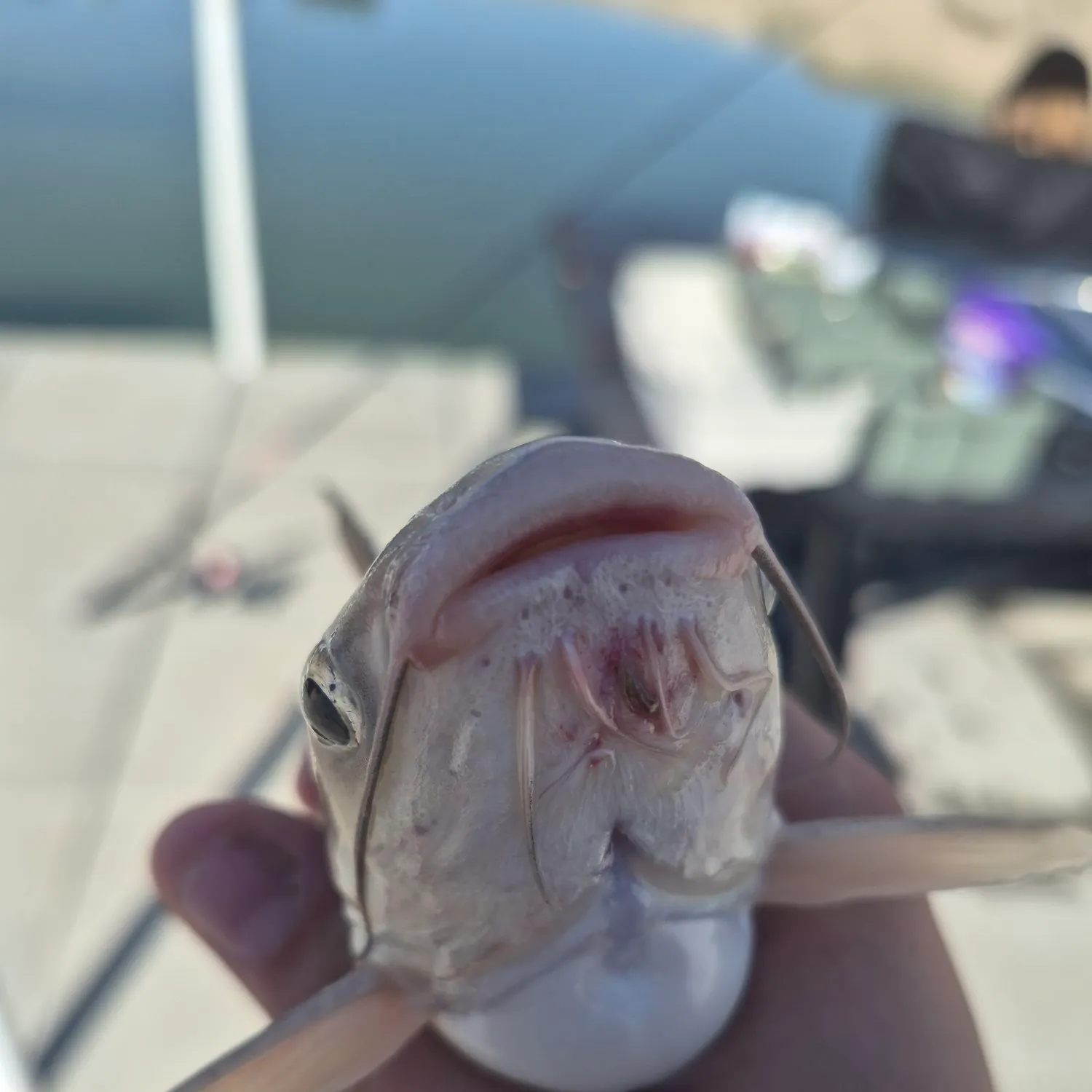 catch