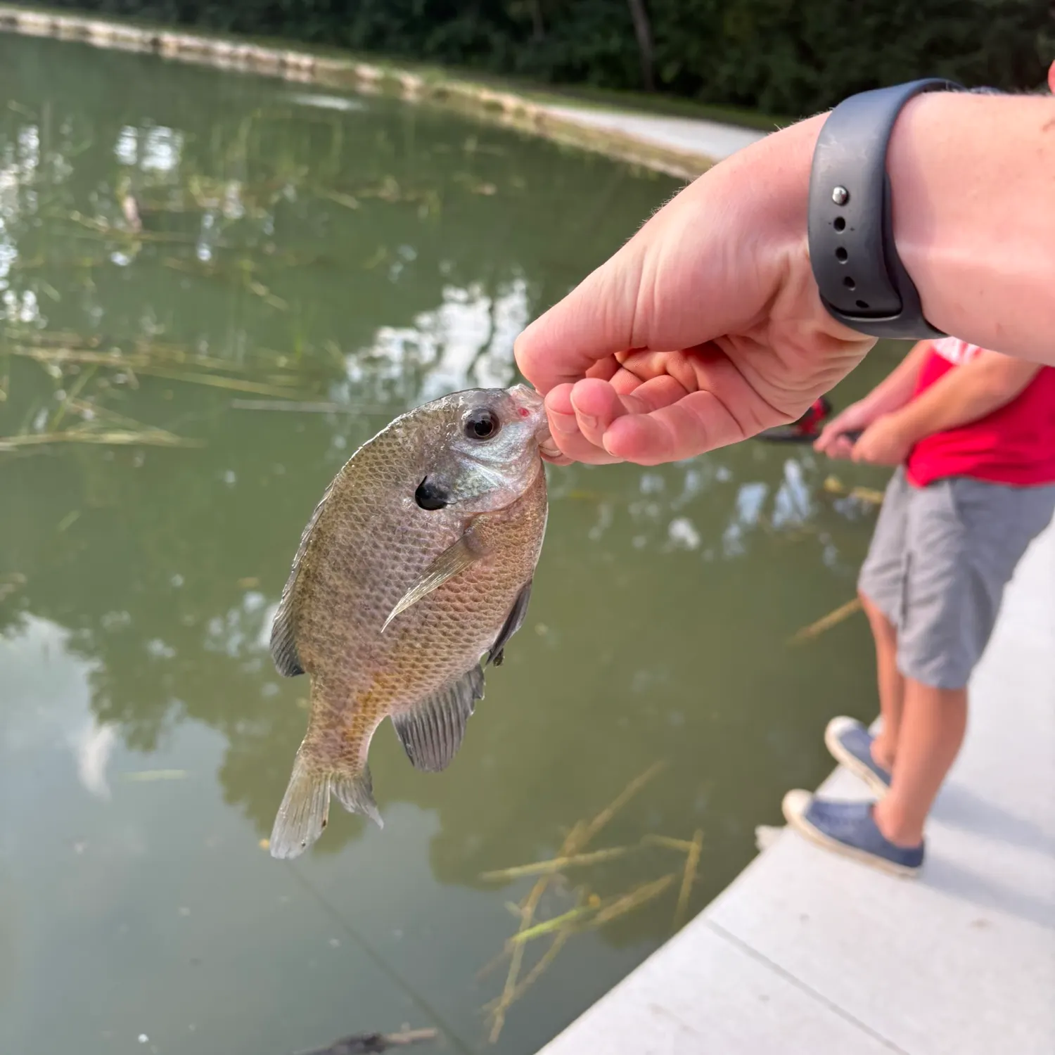 catch