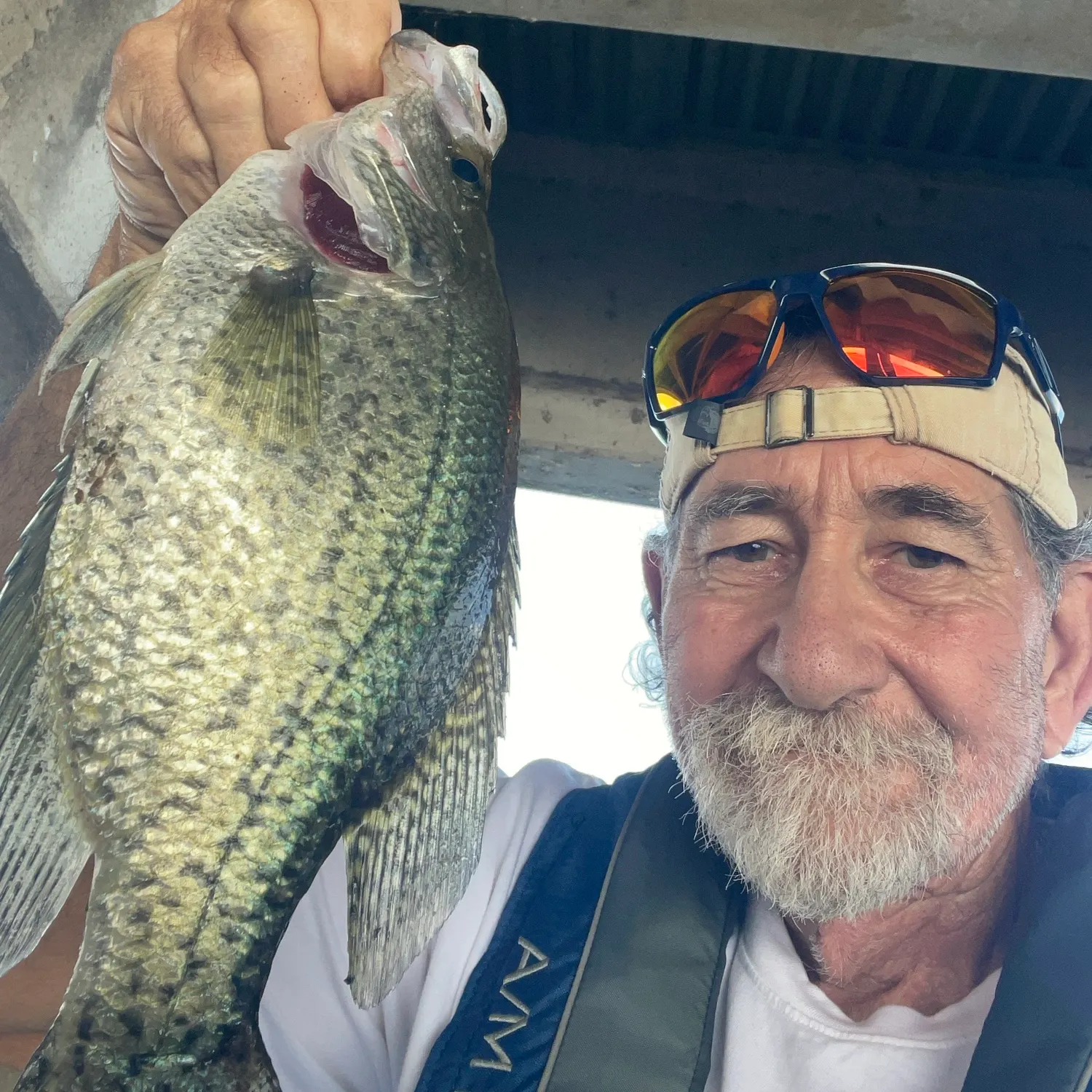 Black crappie caught on Fishbrain