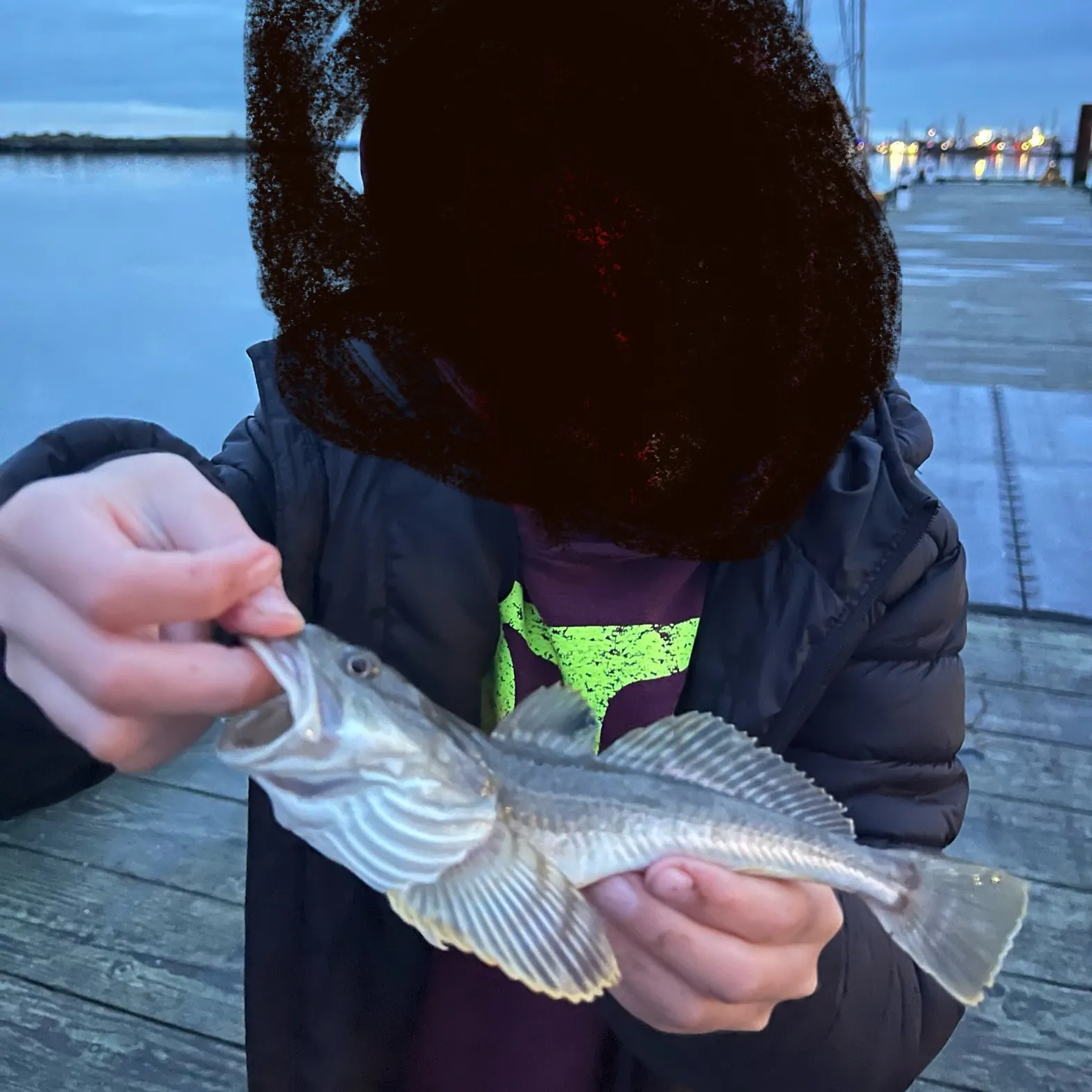 The most recent Pacific staghorn sculpin catches on Fishbrain