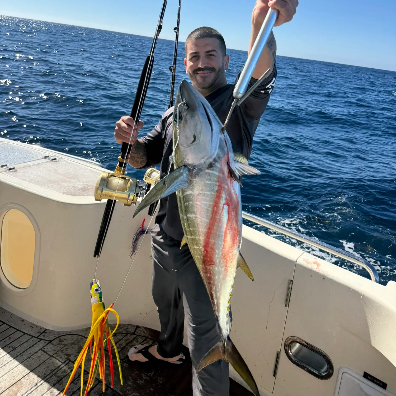 The most recent Yellowfin tuna catches on Fishbrain