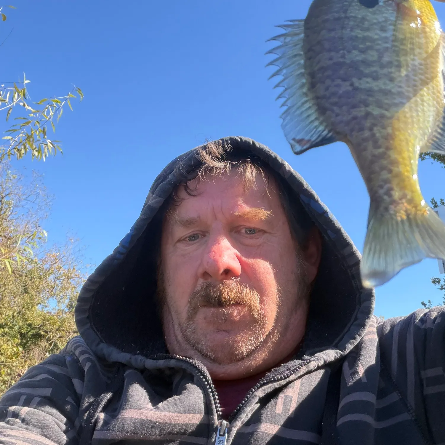 Bluegill caught on Fishbrain