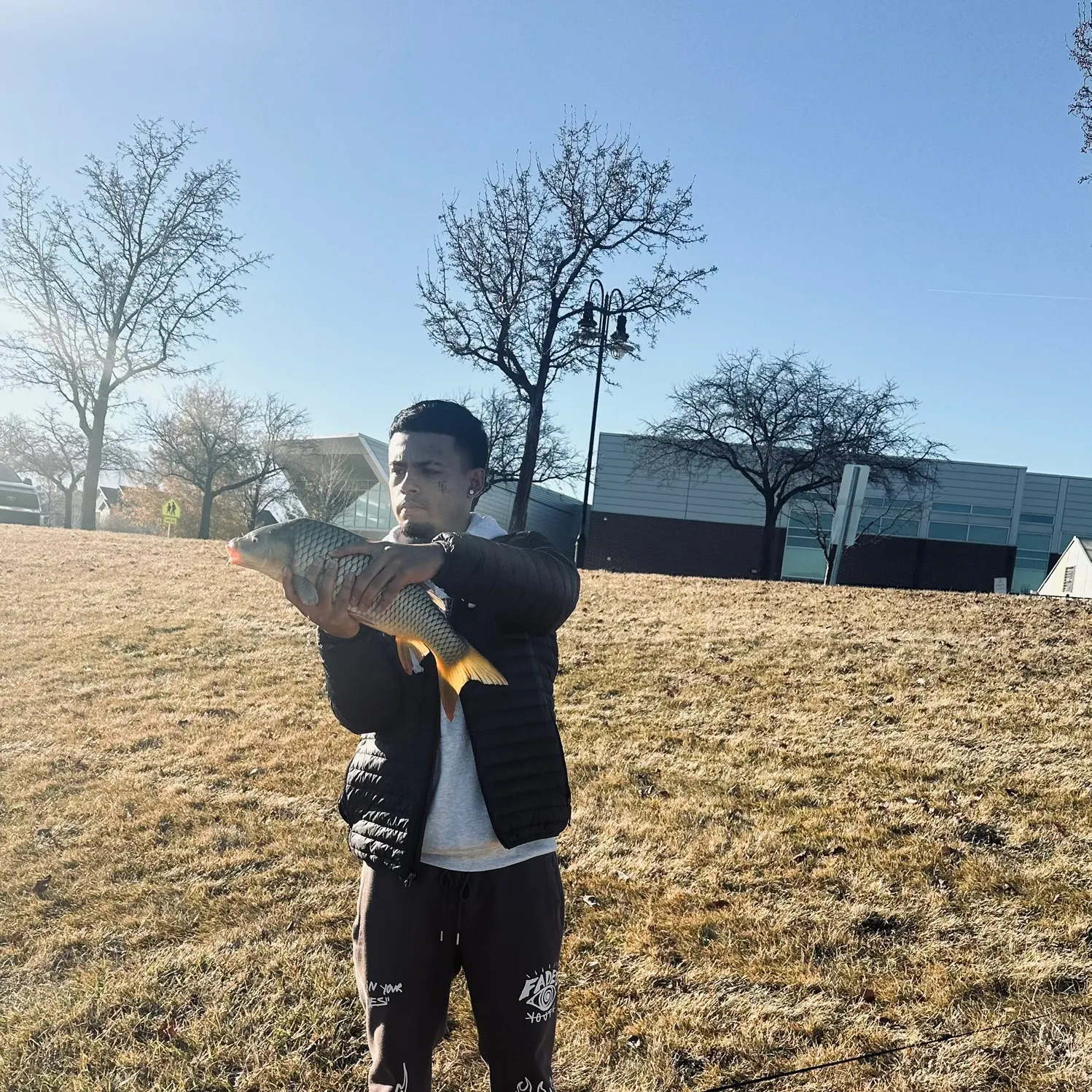 The most recent Common carp catches on Fishbrain