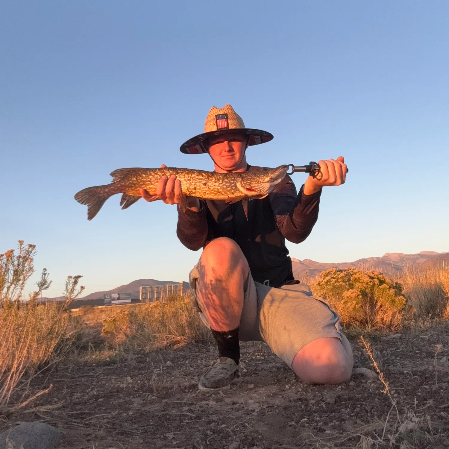 Northern pike caught on Fishbrain
