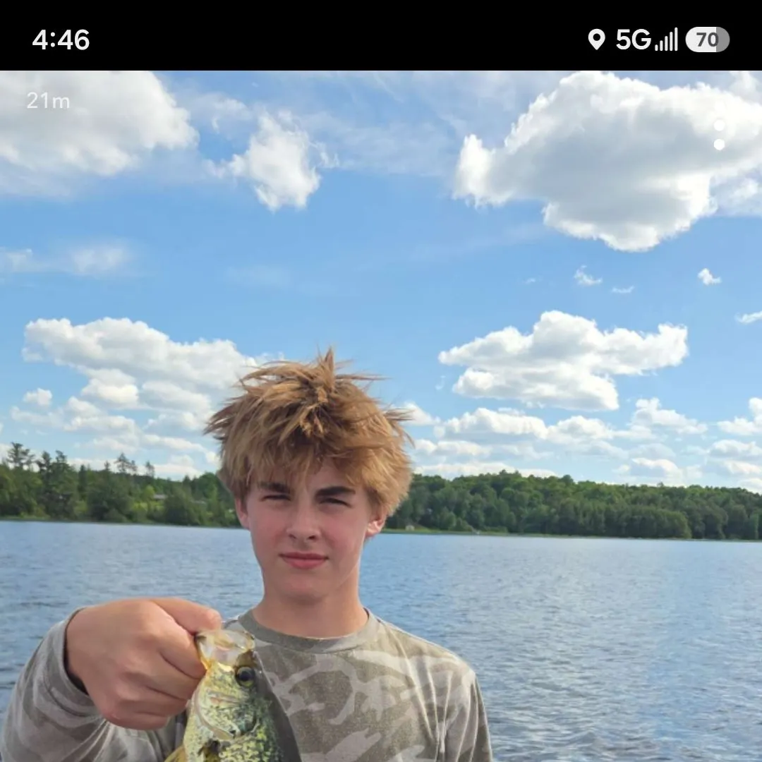 The most recent Black crappie catches on Fishbrain