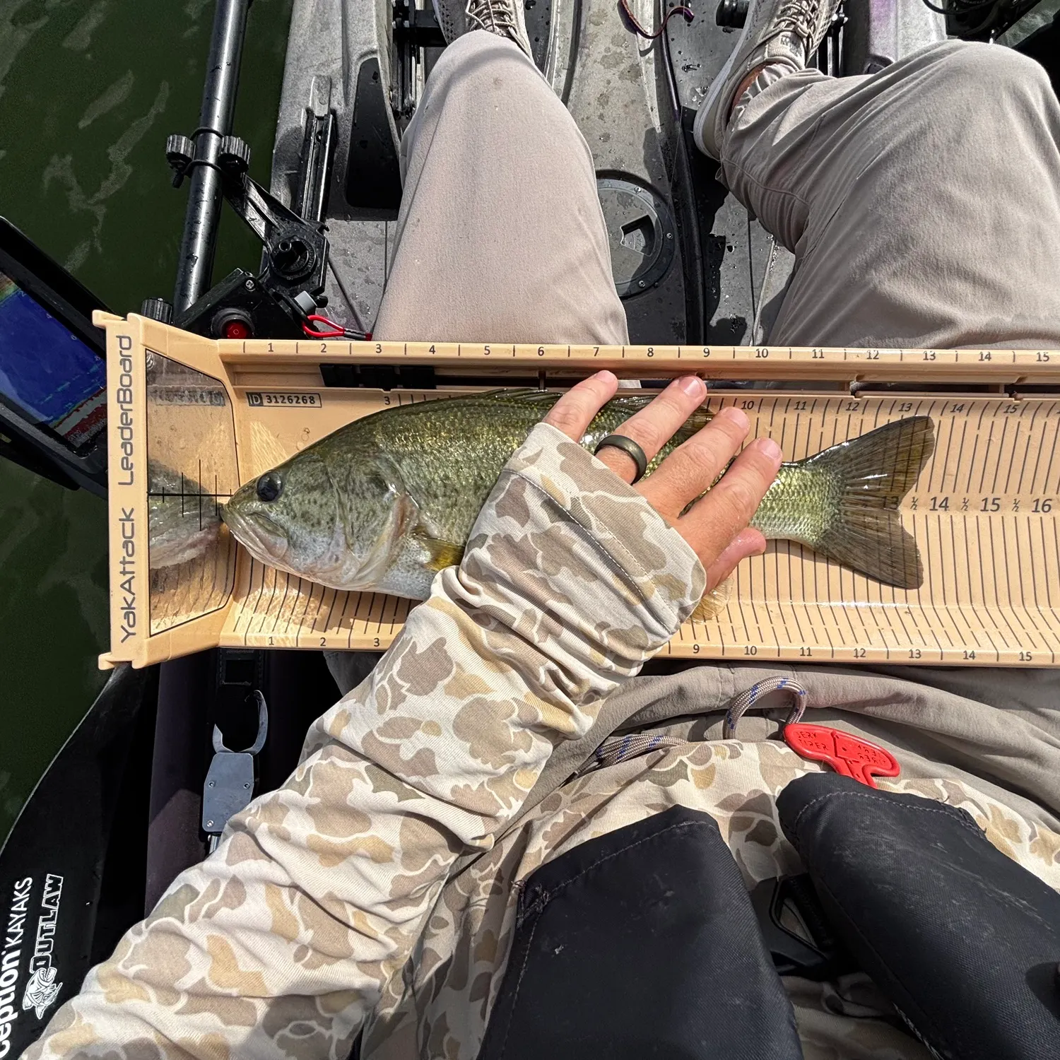 Largemouth bass caught on Fishbrain
