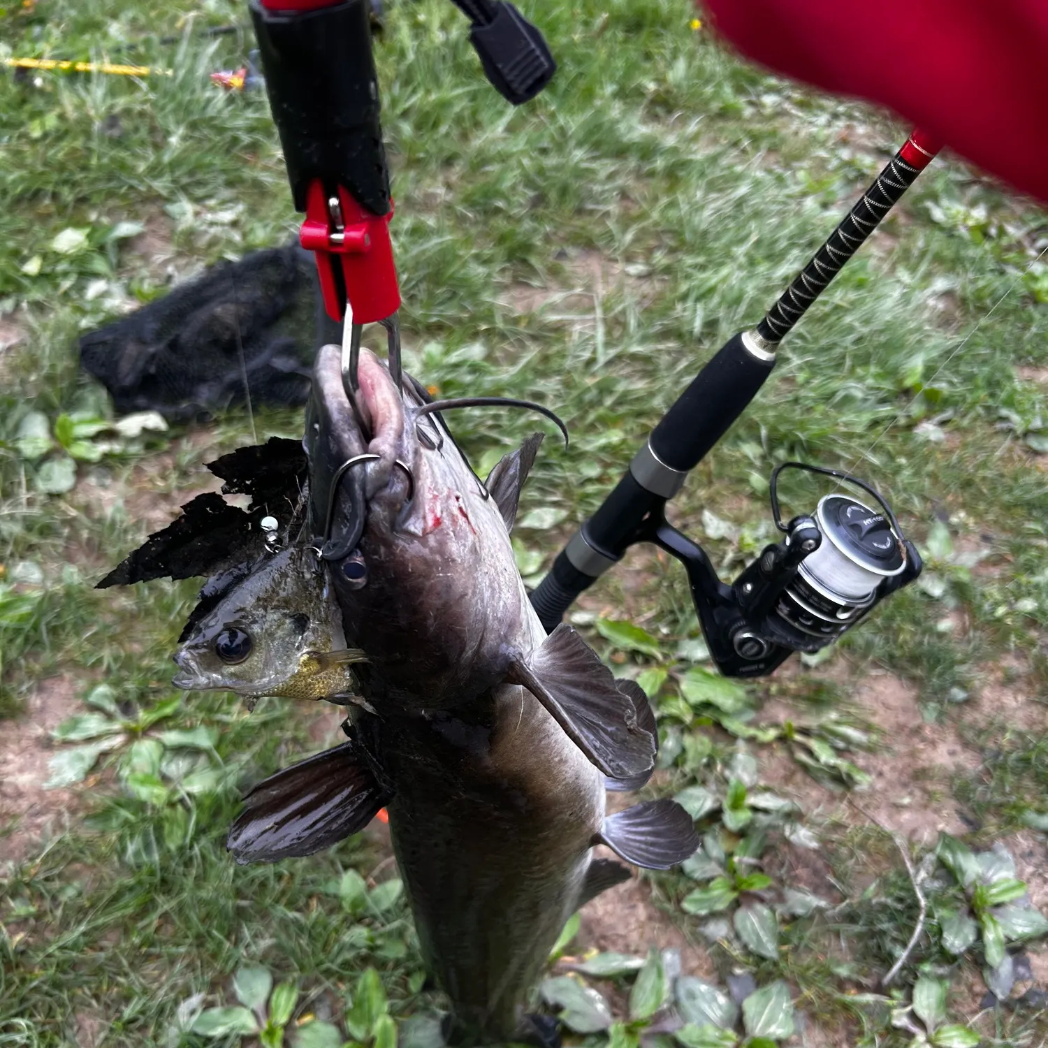 catch