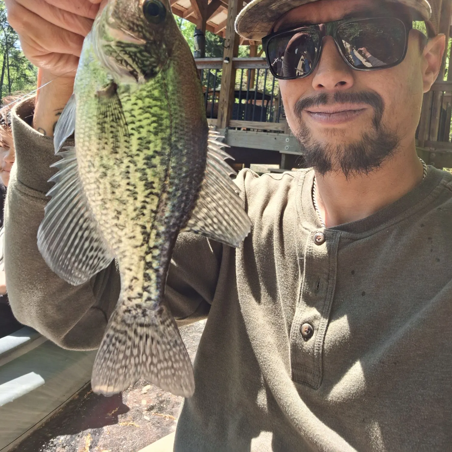 Black crappie caught on Fishbrain