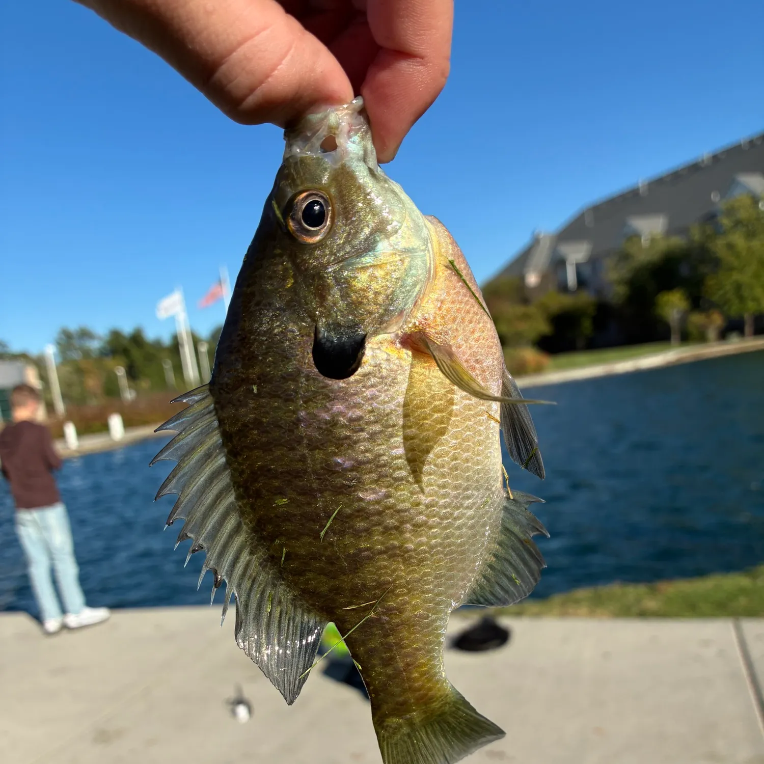 catch