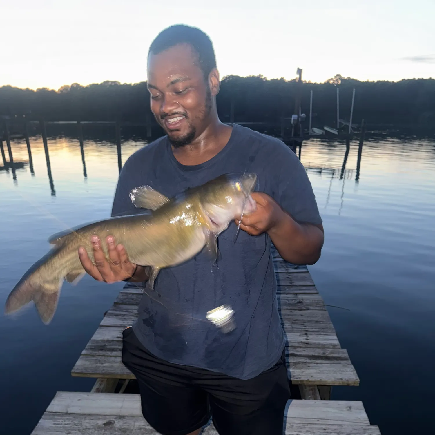 Channel catfish caught on Fishbrain