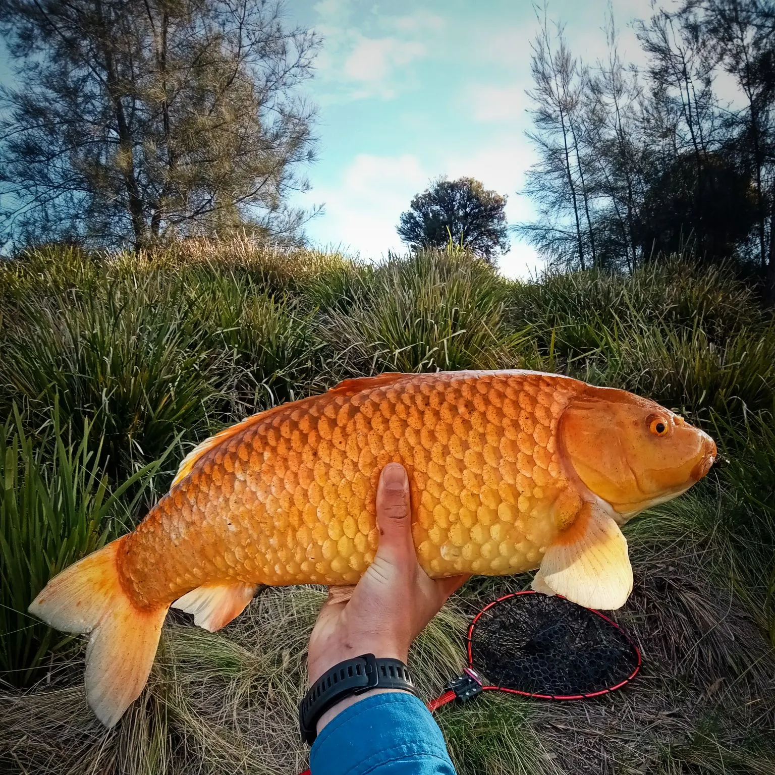 catch