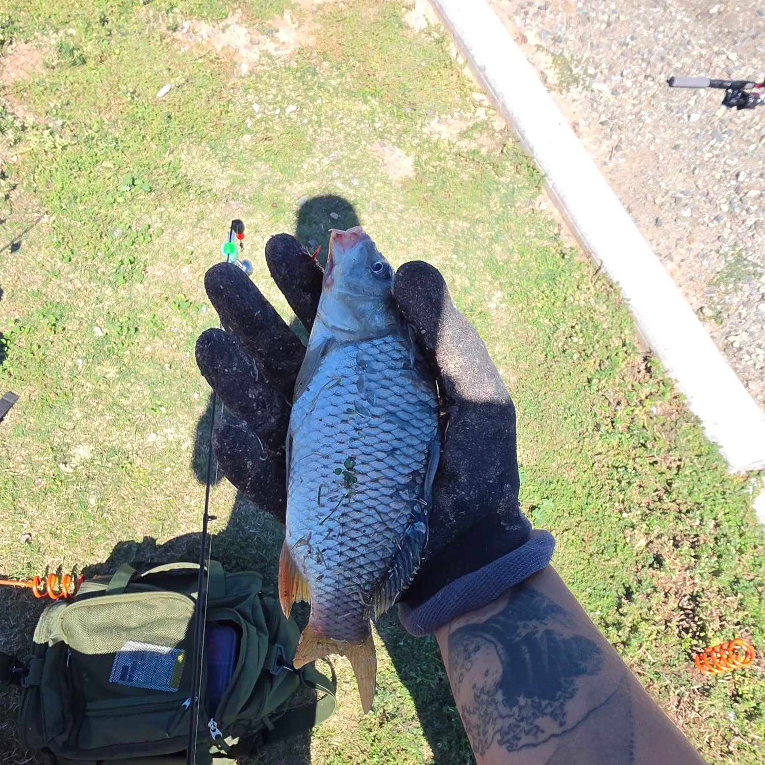 catch