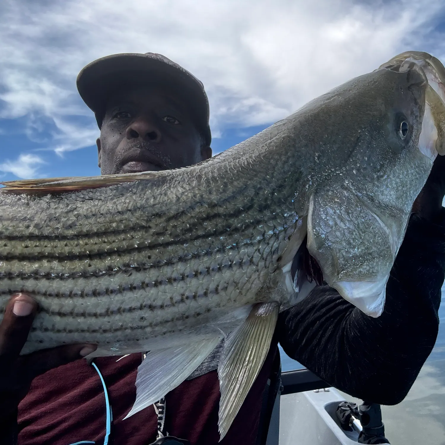 Striped bass caught on Fishbrain