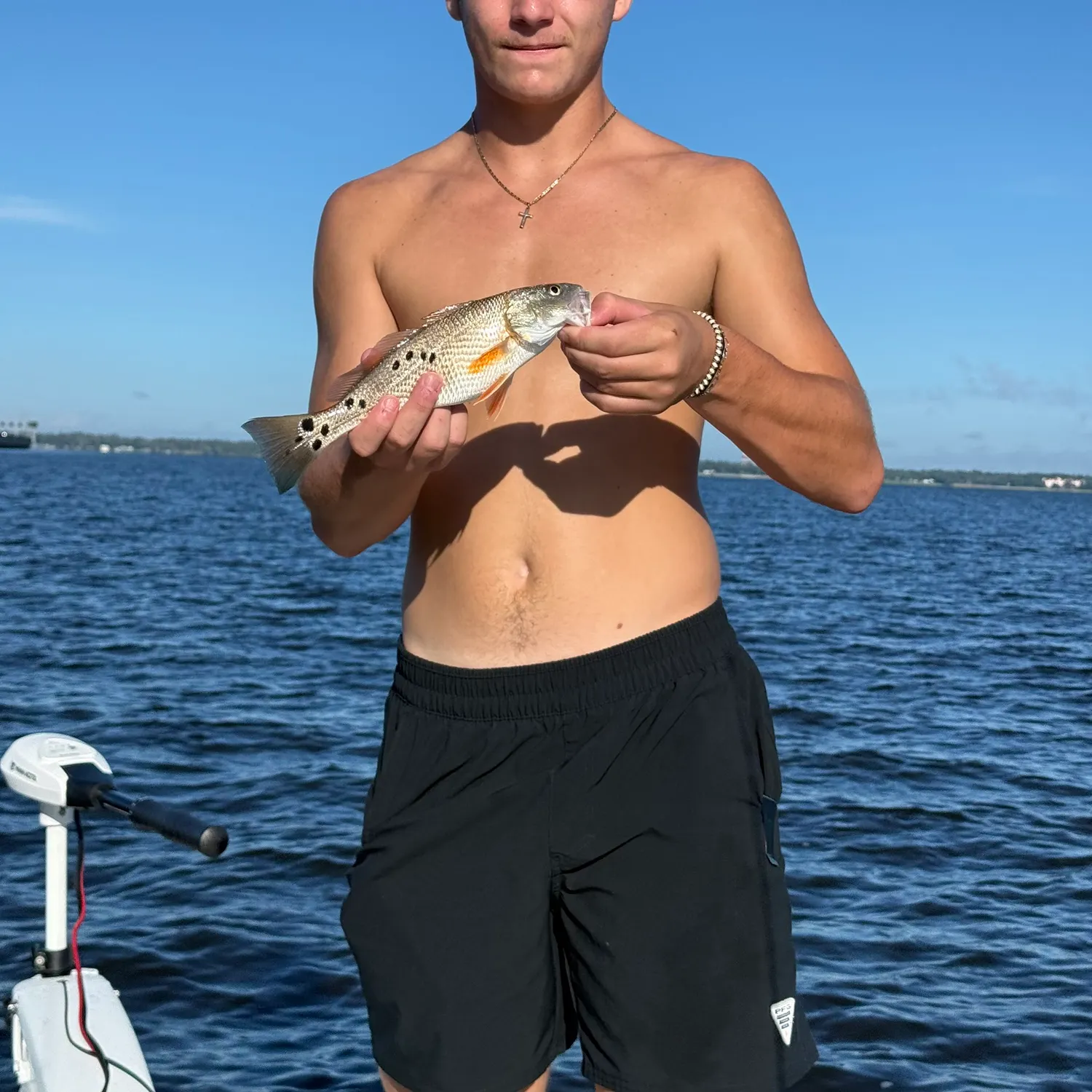 Red drum caught on Fishbrain