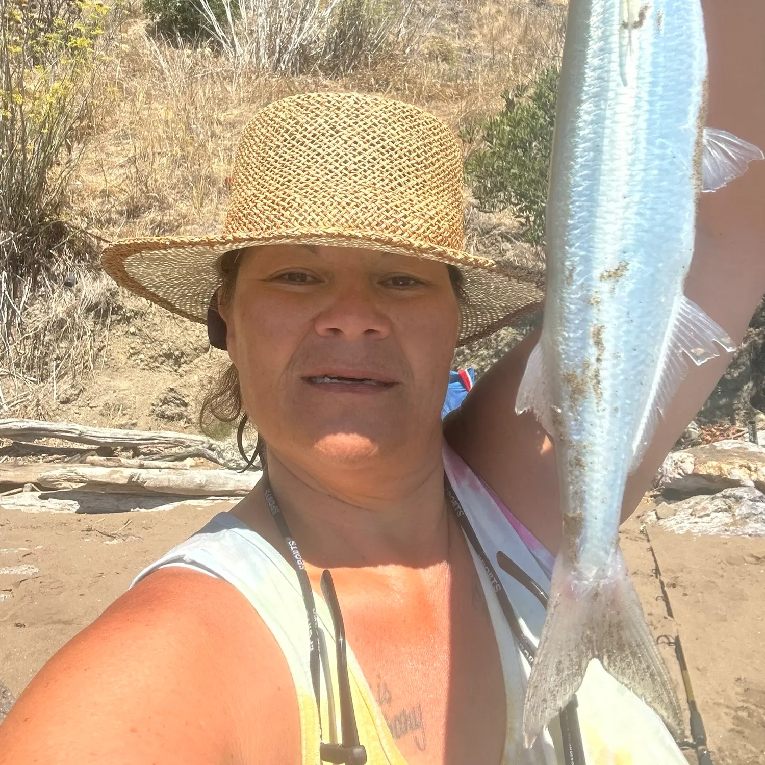 The most recent Jack silverside catches on Fishbrain