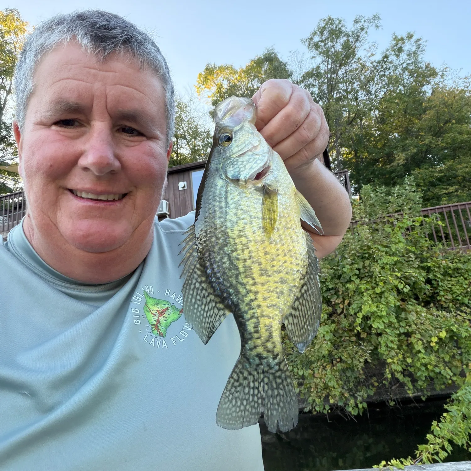 Black crappie caught on Fishbrain