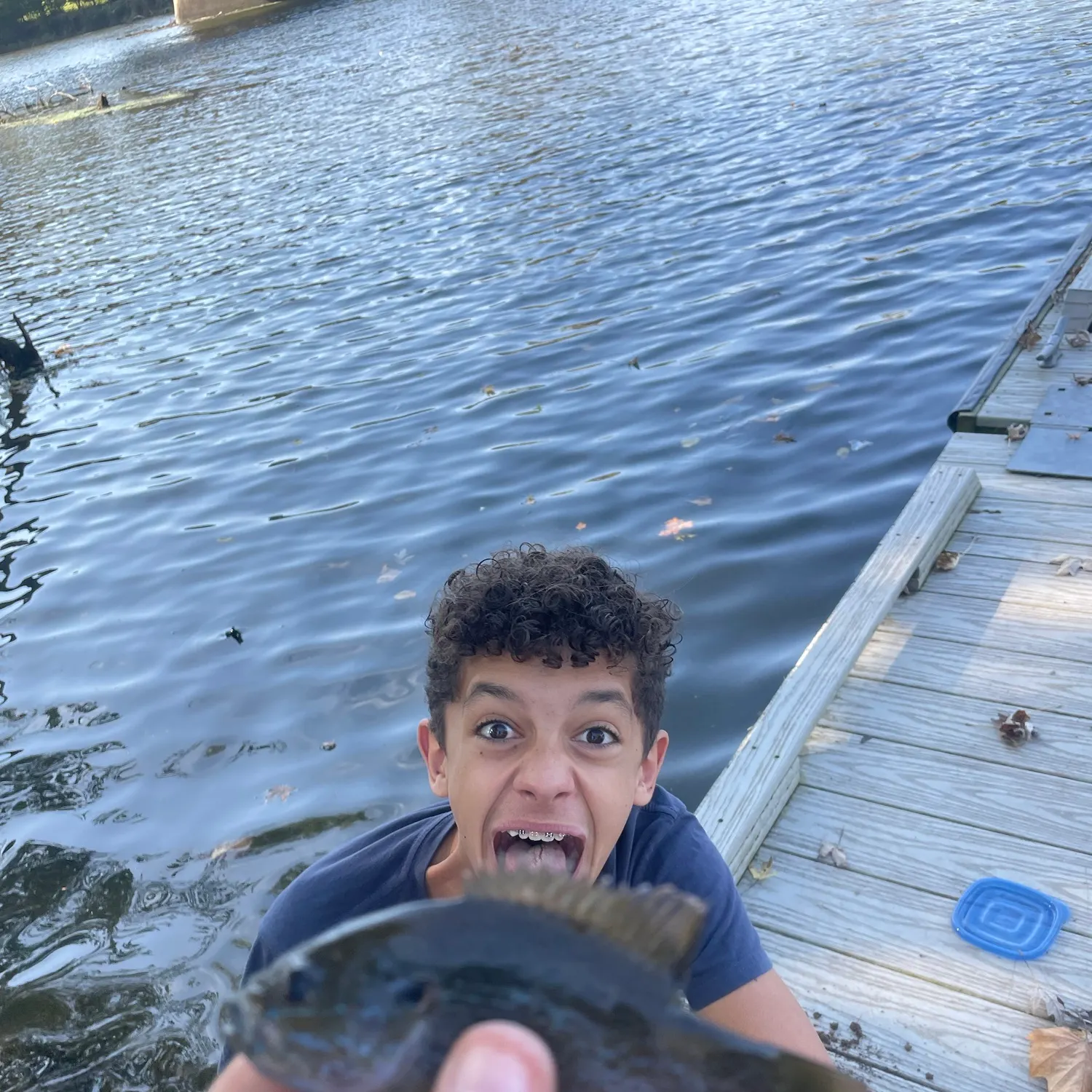 Green sunfish caught on Fishbrain