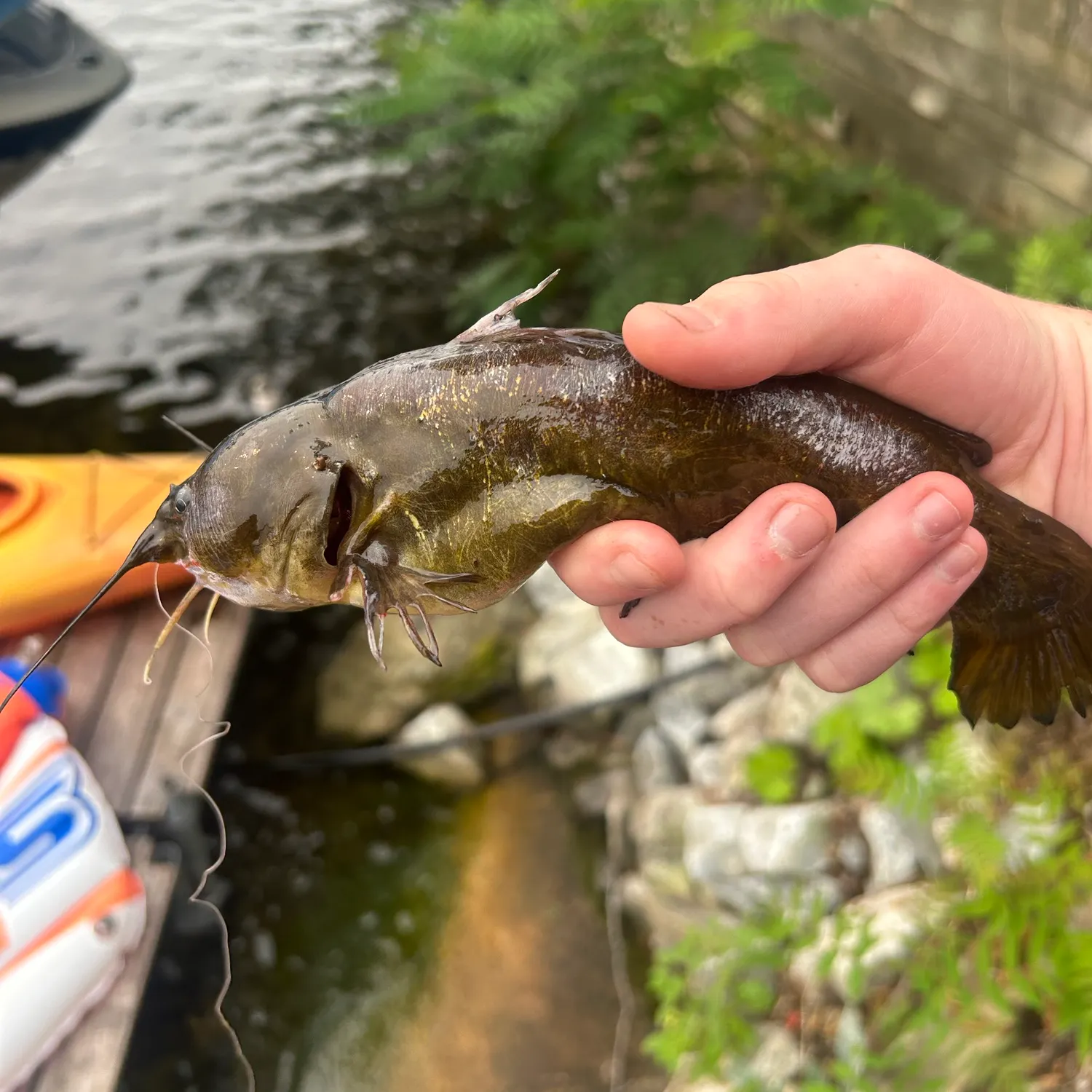 catch