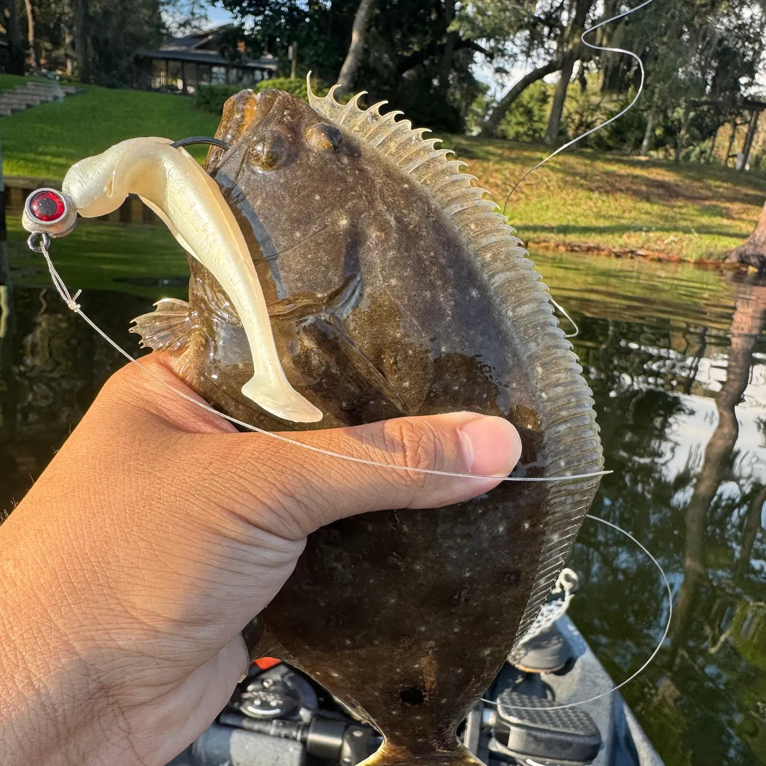 Summer flounder caught on Fishbrain