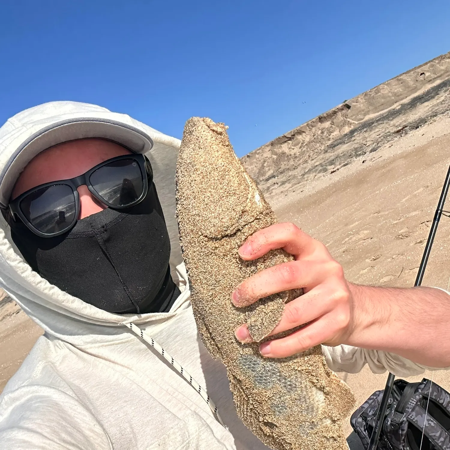 The most recent California corbina catches on Fishbrain