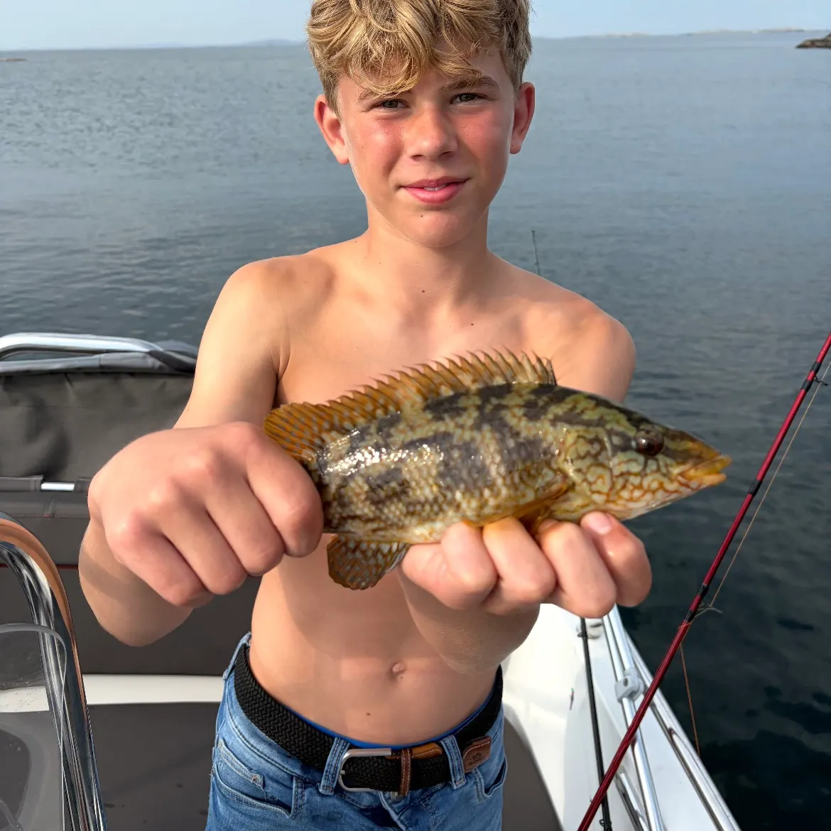 The most recent Ballan wrasse catches on Fishbrain