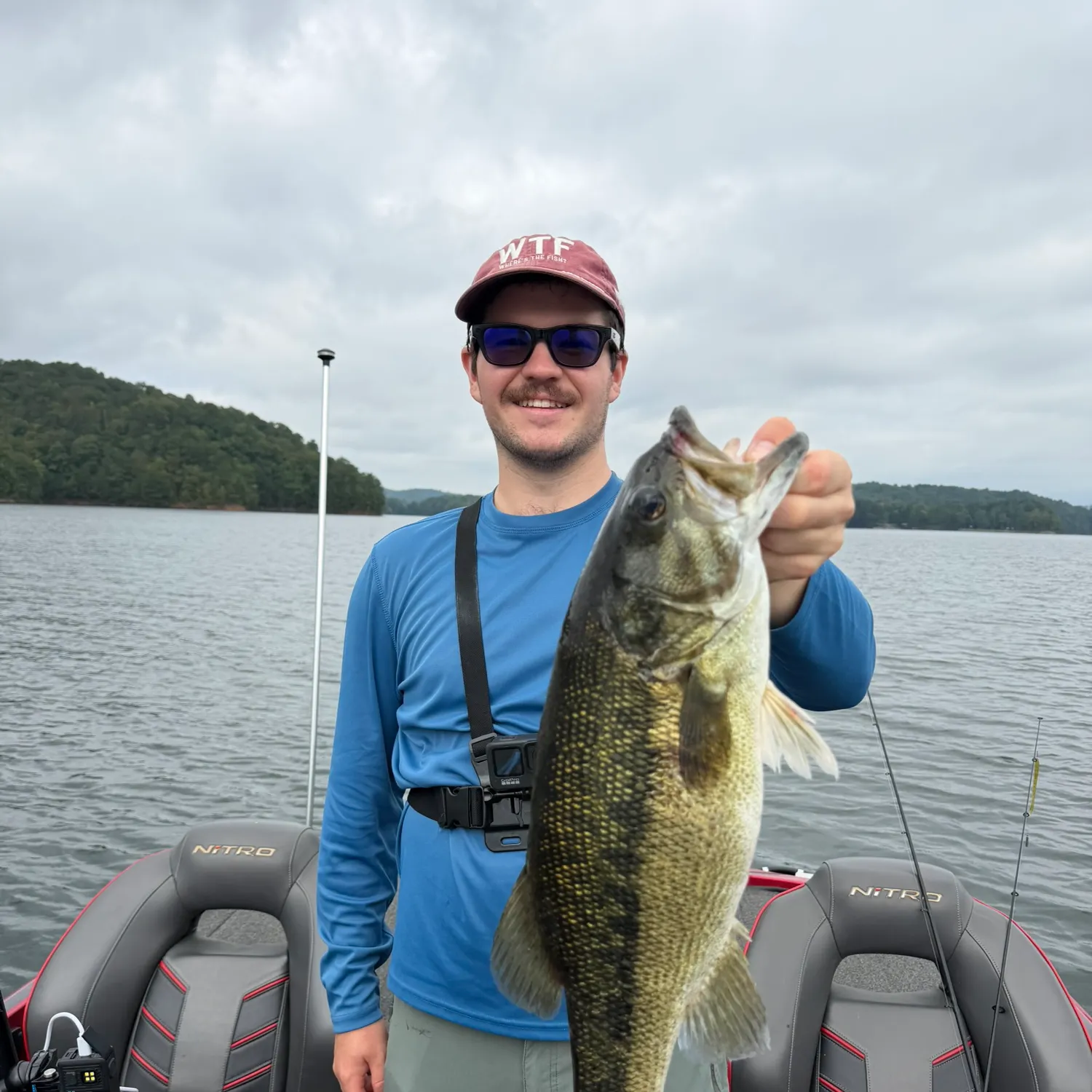 Spotted bass caught on Fishbrain