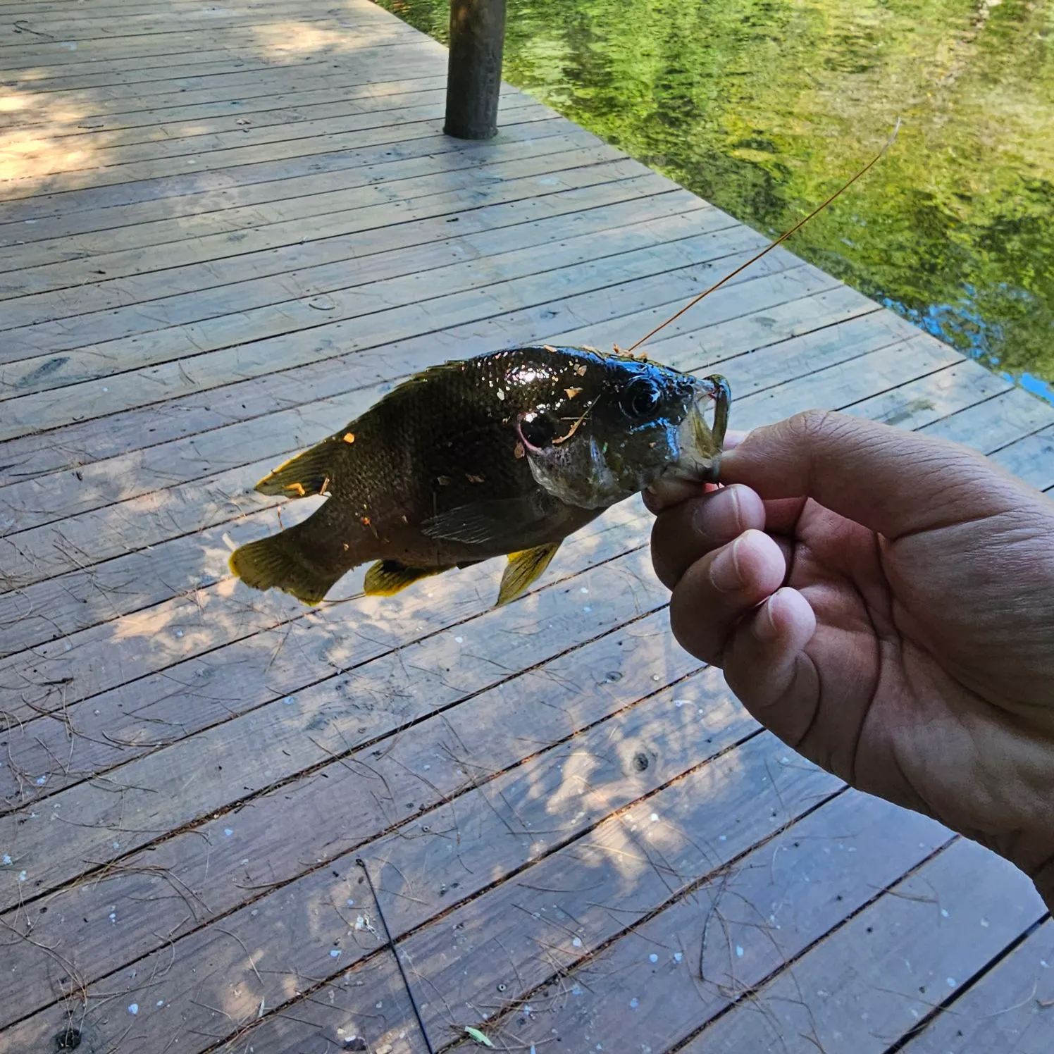 catch