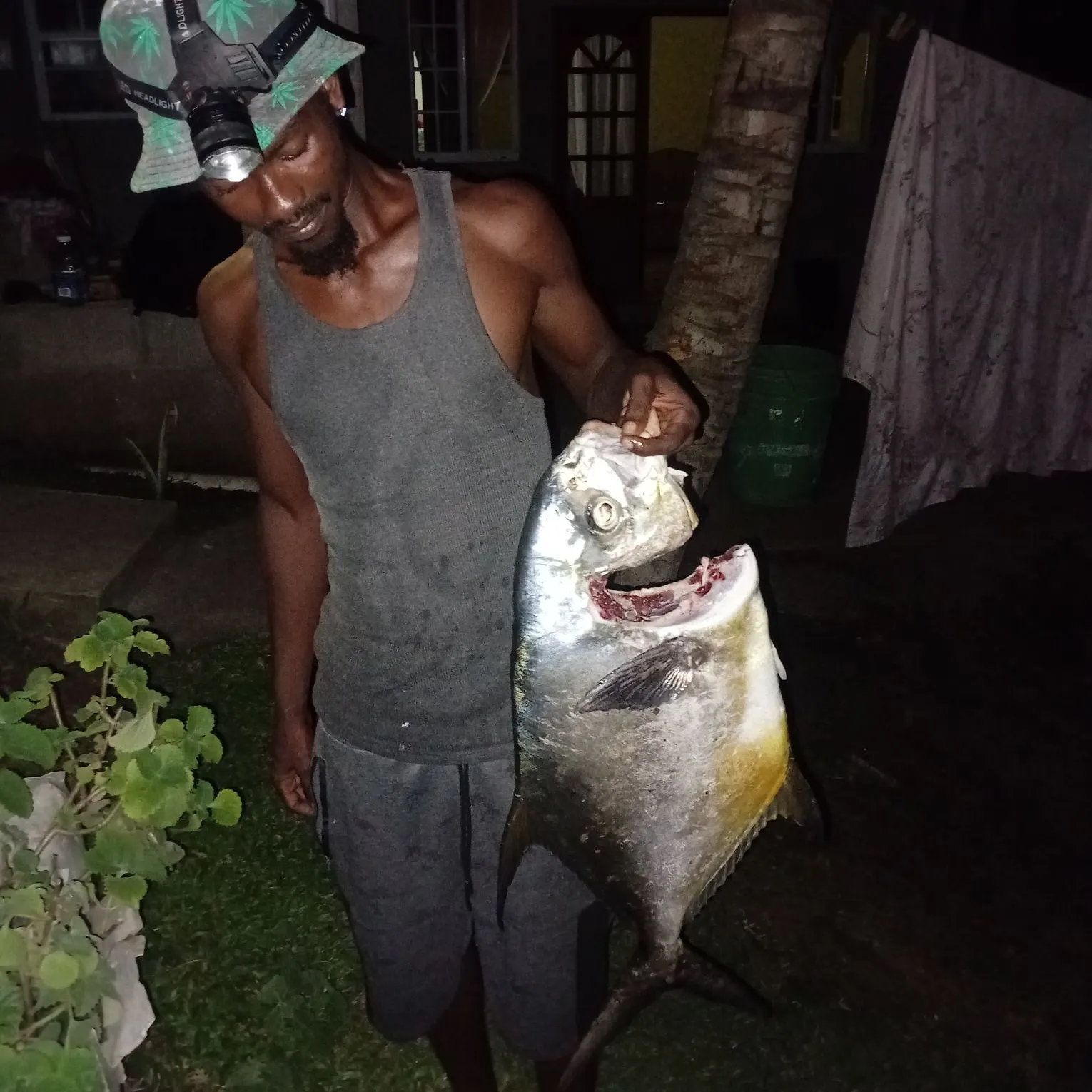 Permit caught on Fishbrain