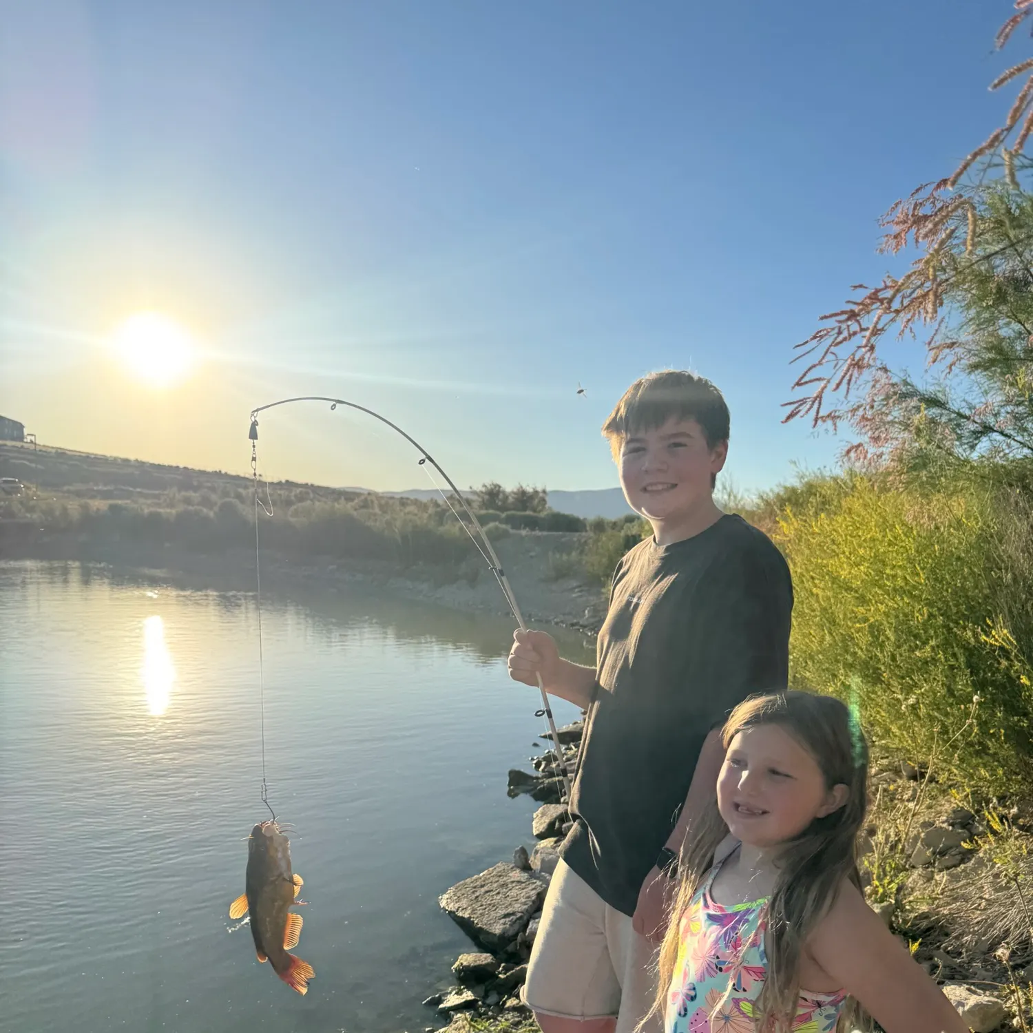 The most recent Black bullhead catches on Fishbrain