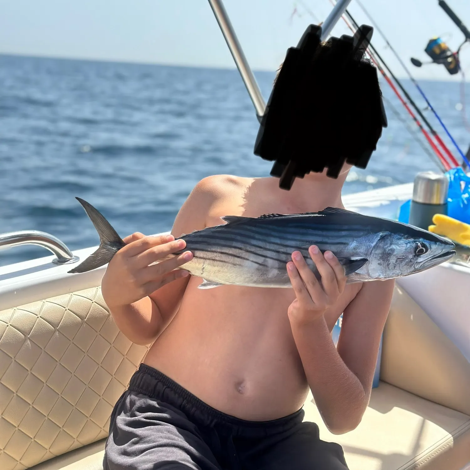 The most recent Atlantic bonito catches on Fishbrain