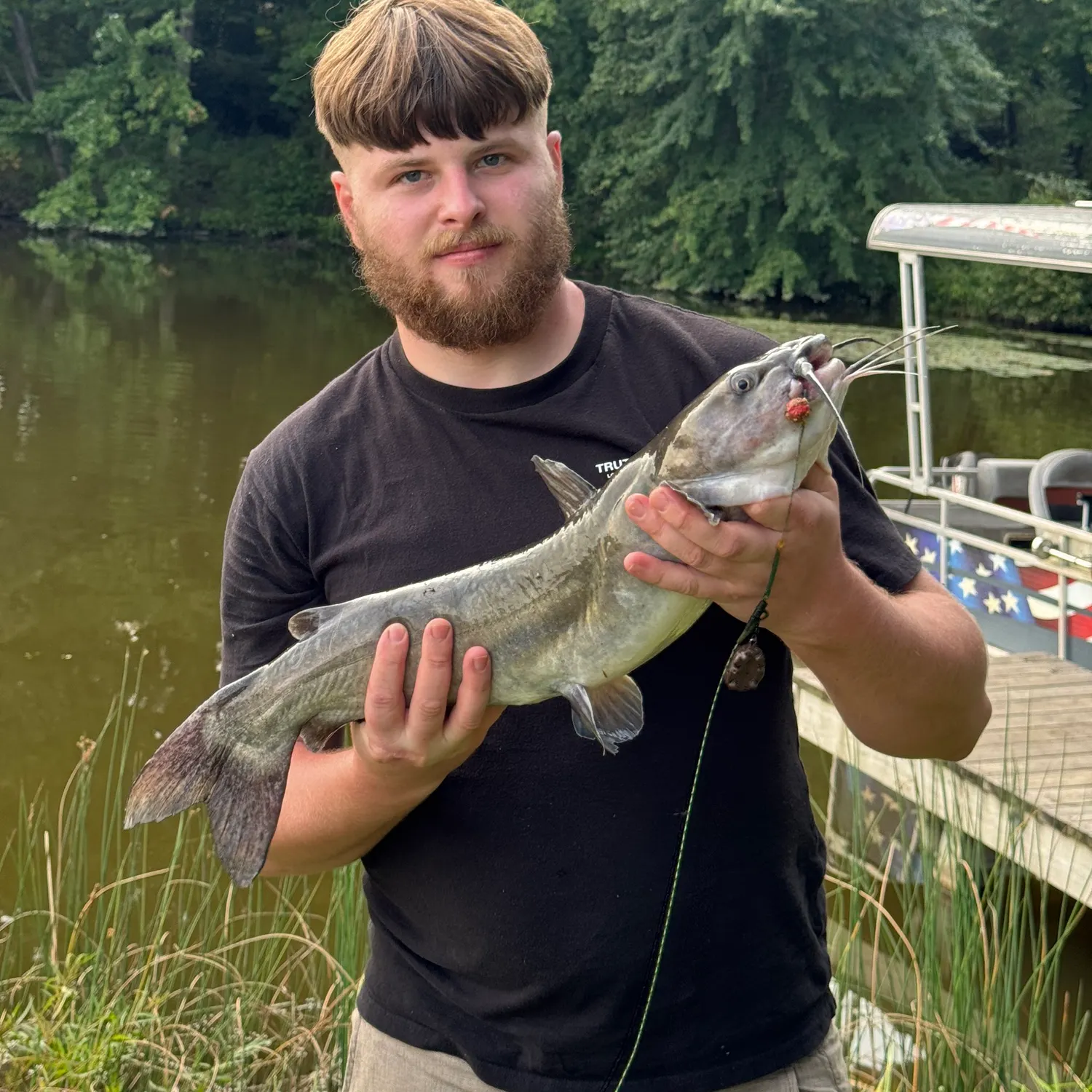 Channel catfish caught on Fishbrain