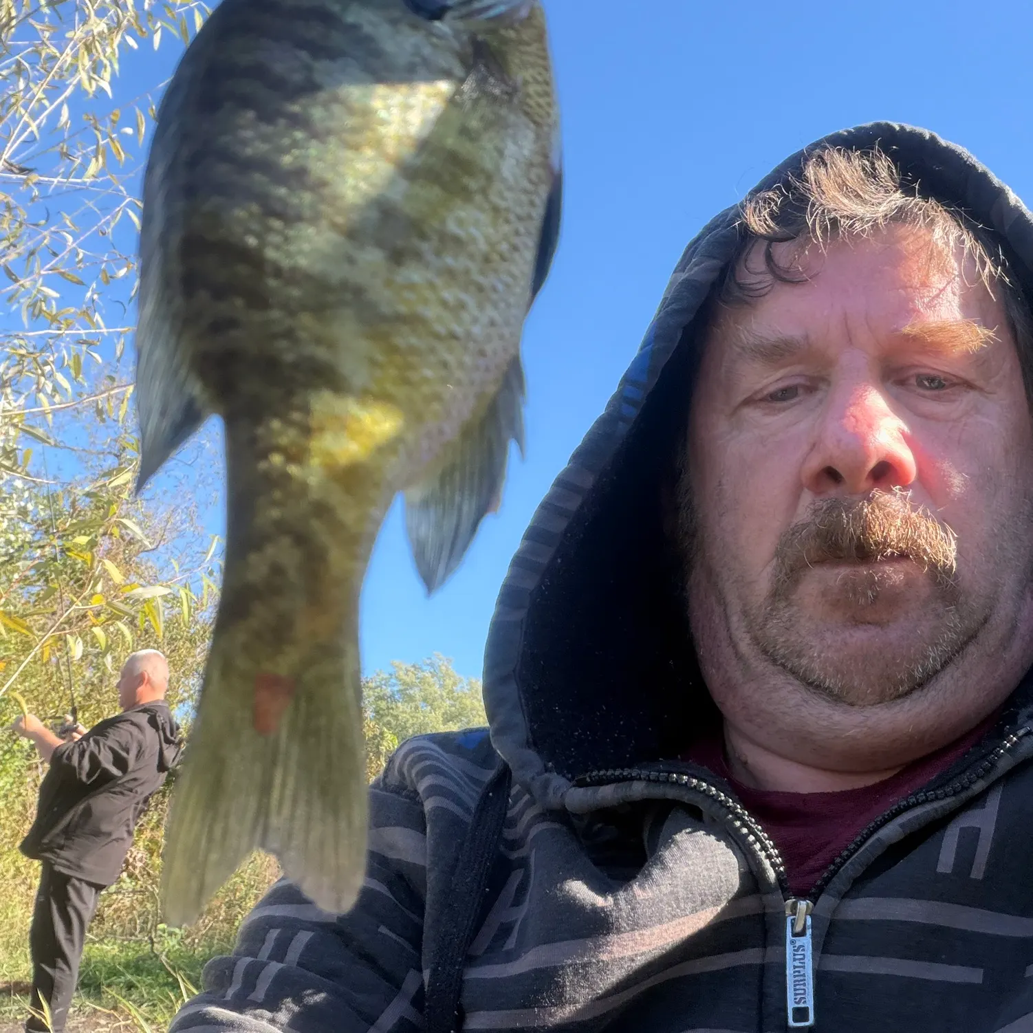 Bluegill caught on Fishbrain