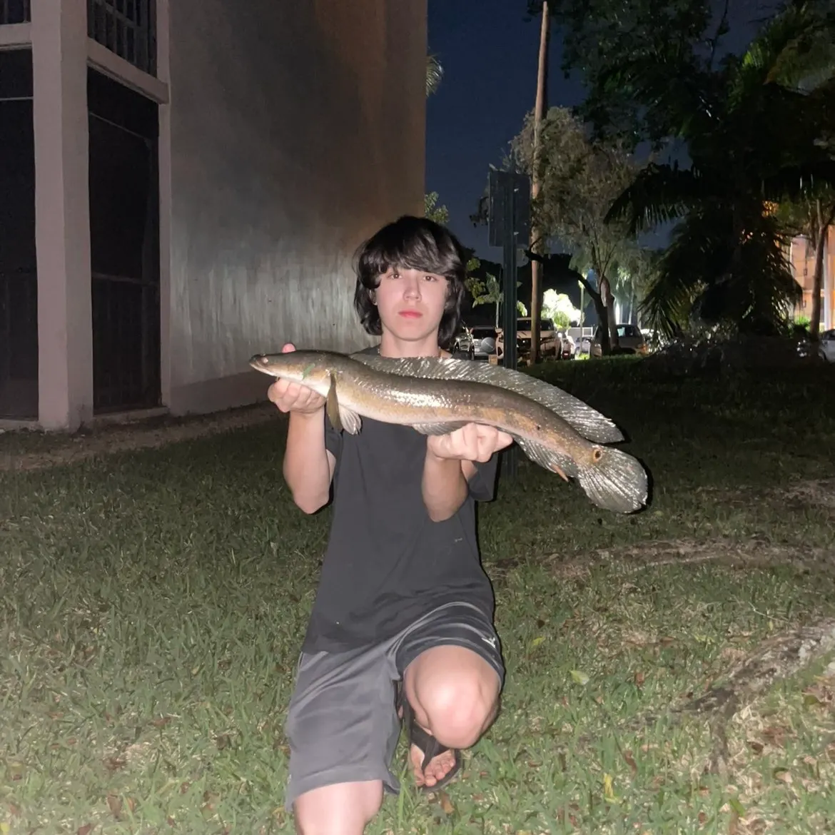 The most recent Bullseye snakehead catches on Fishbrain