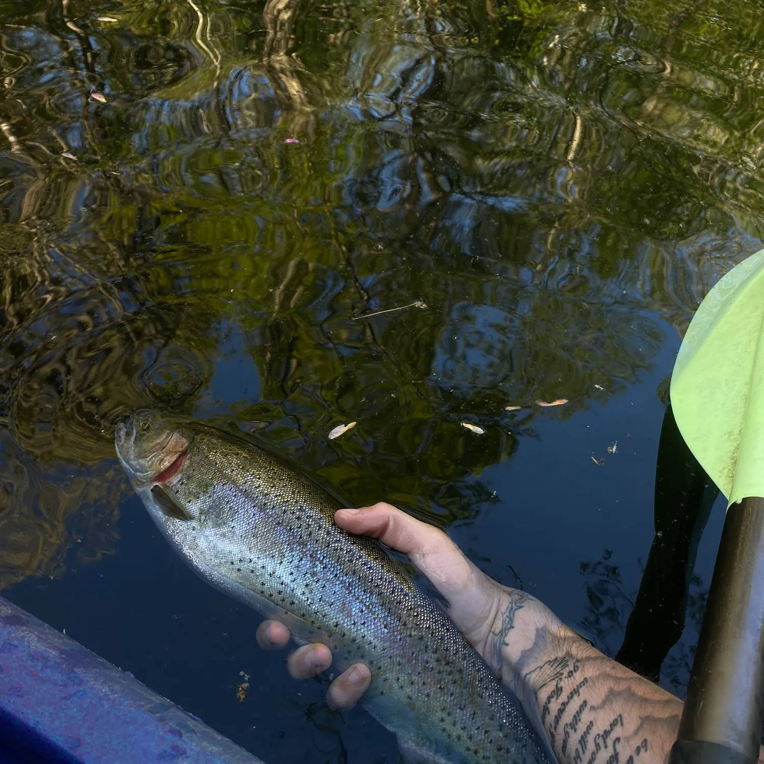recently logged catches