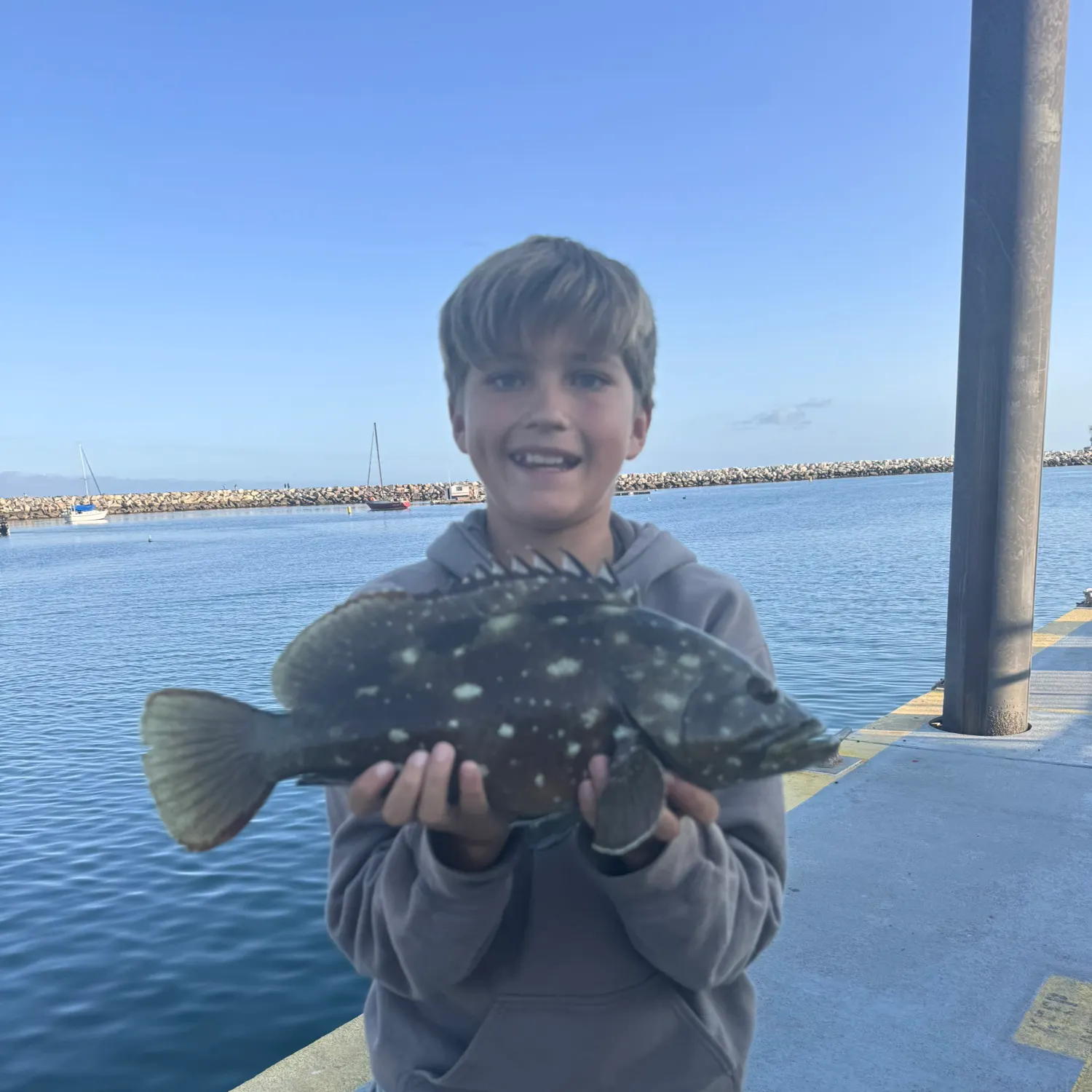 The most recent Starry grouper catches on Fishbrain