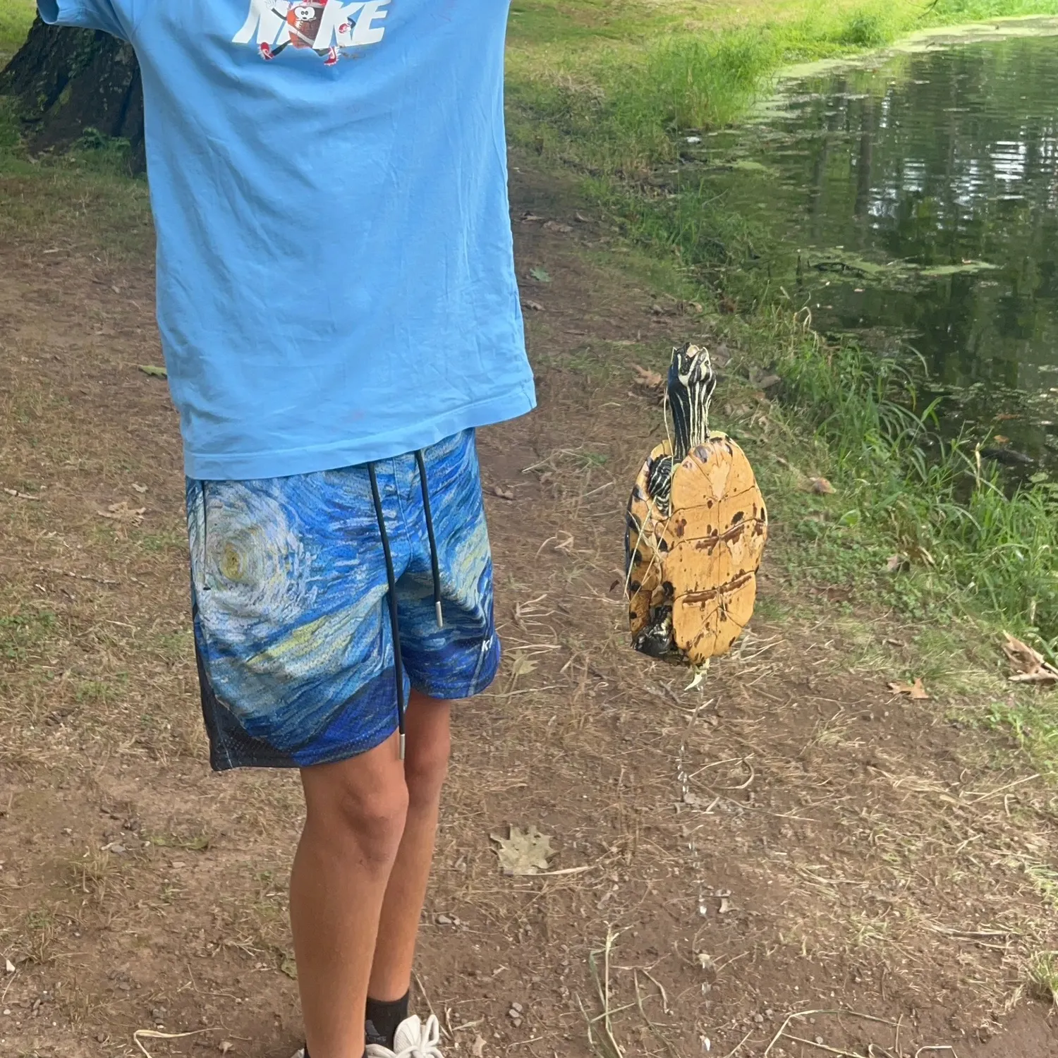 Pond slider turtle caught on Fishbrain