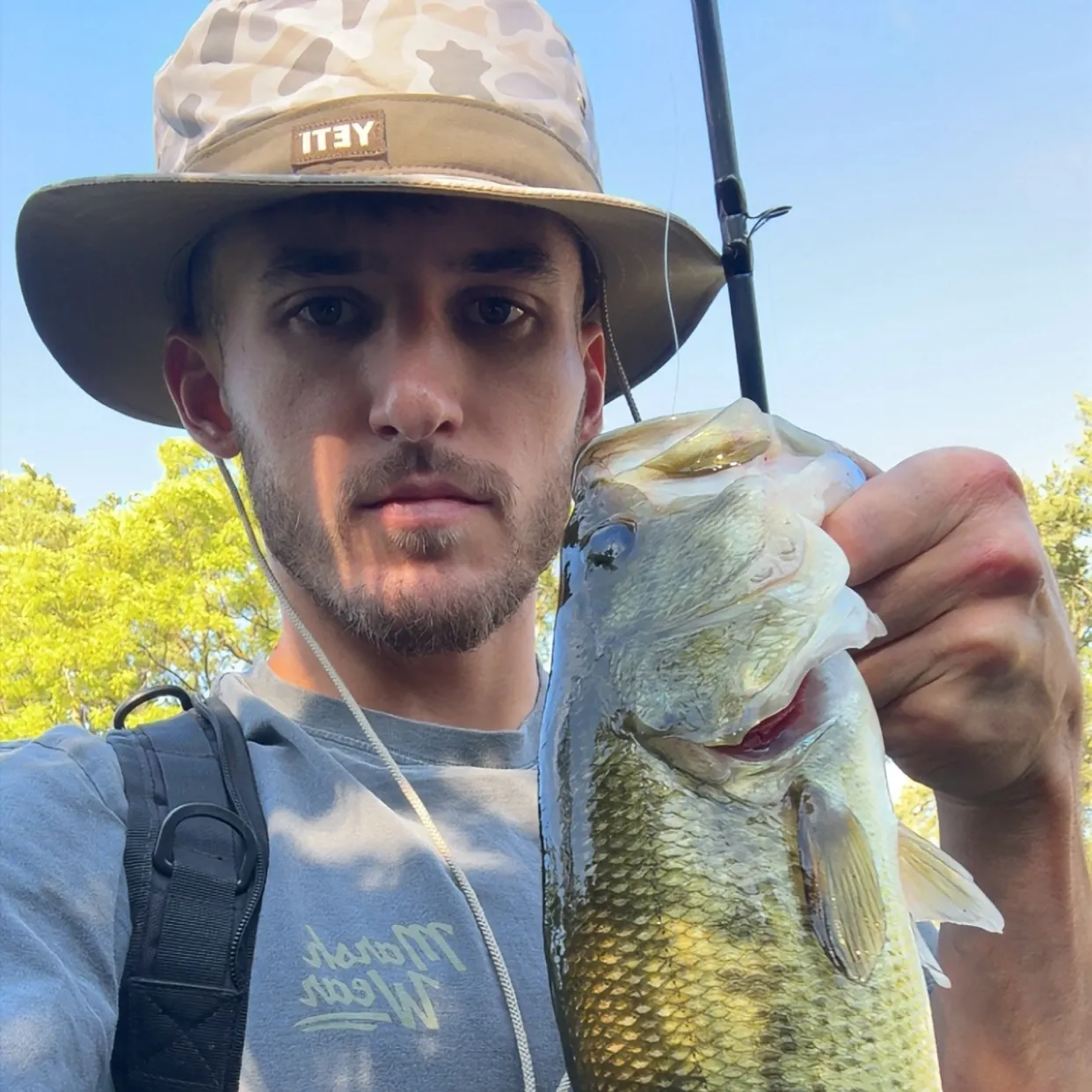 Largemouth bass caught on Fishbrain