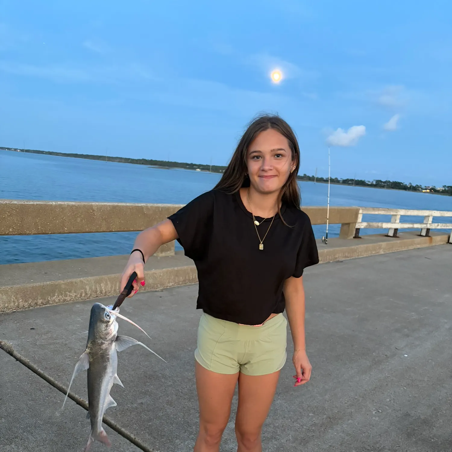 Gafftopsail sea catfish caught on Fishbrain